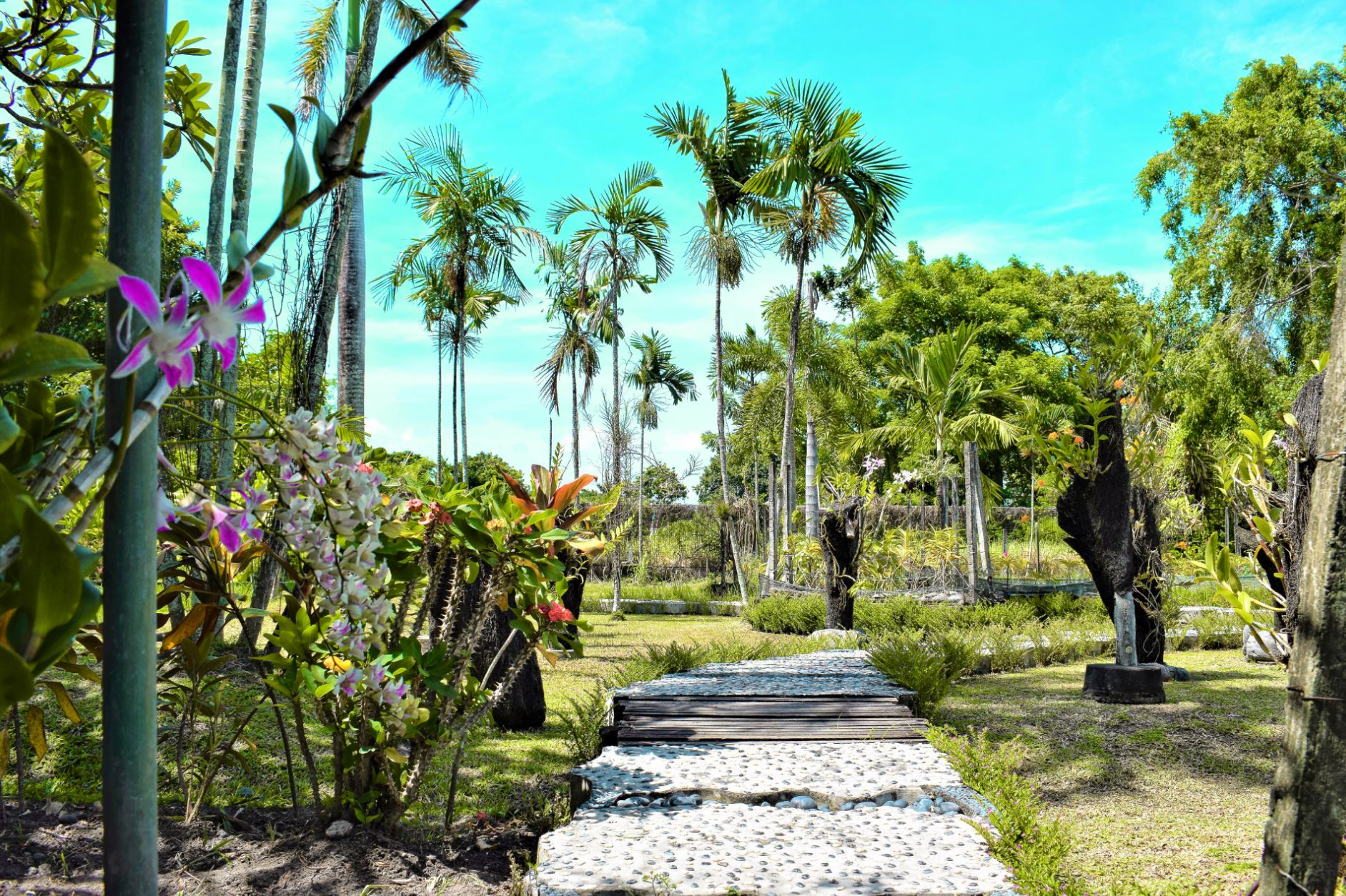 bali orchid garden