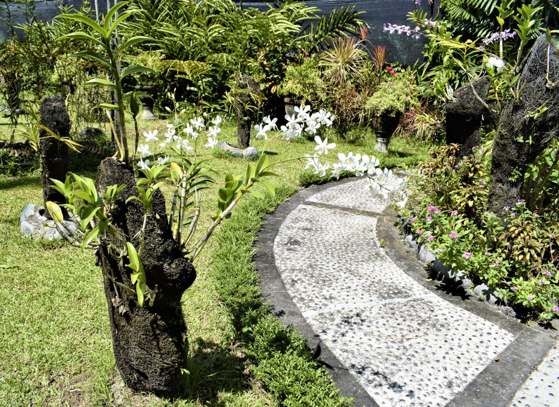 bali orchid garden