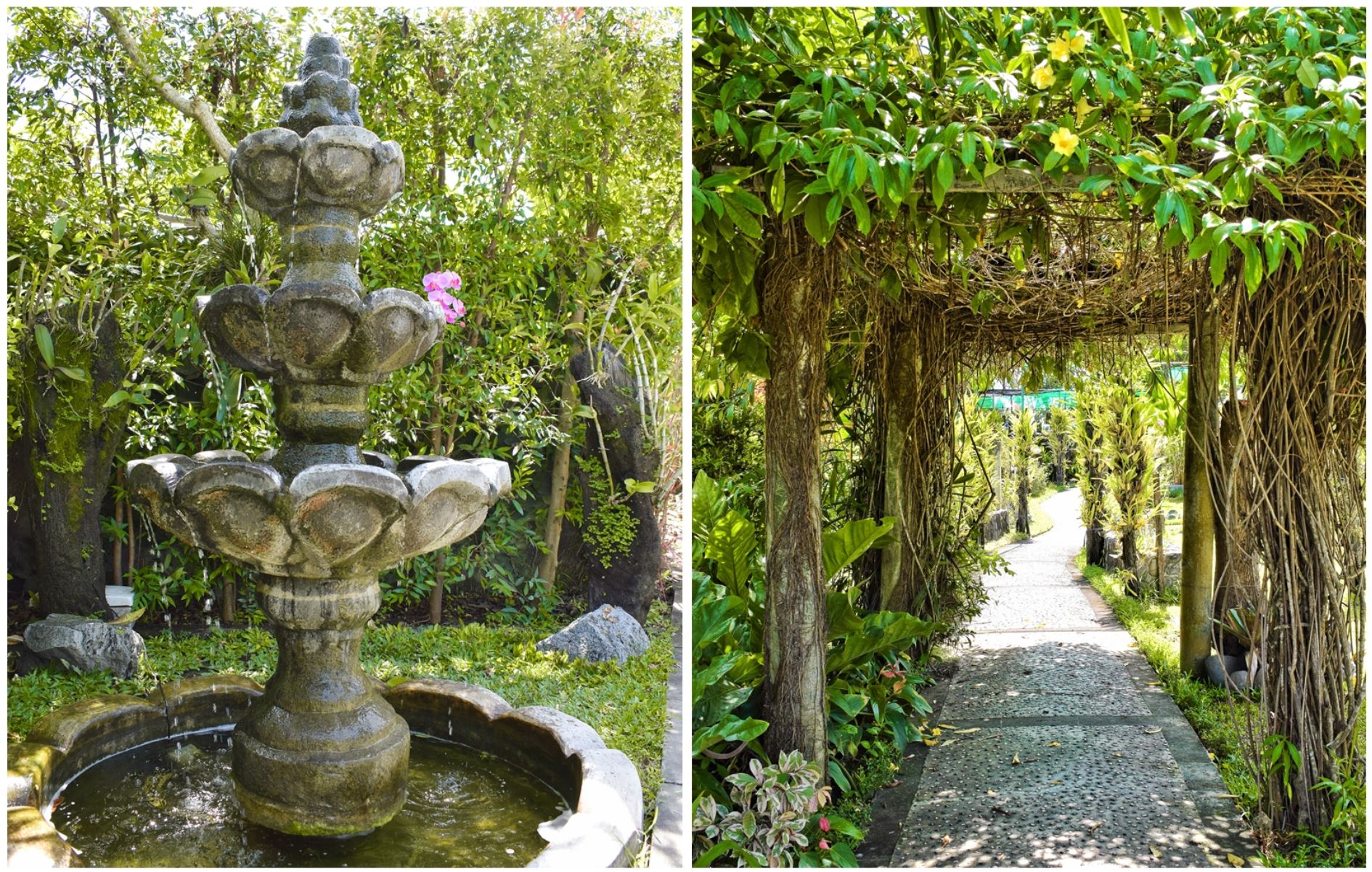 bali orchid garden