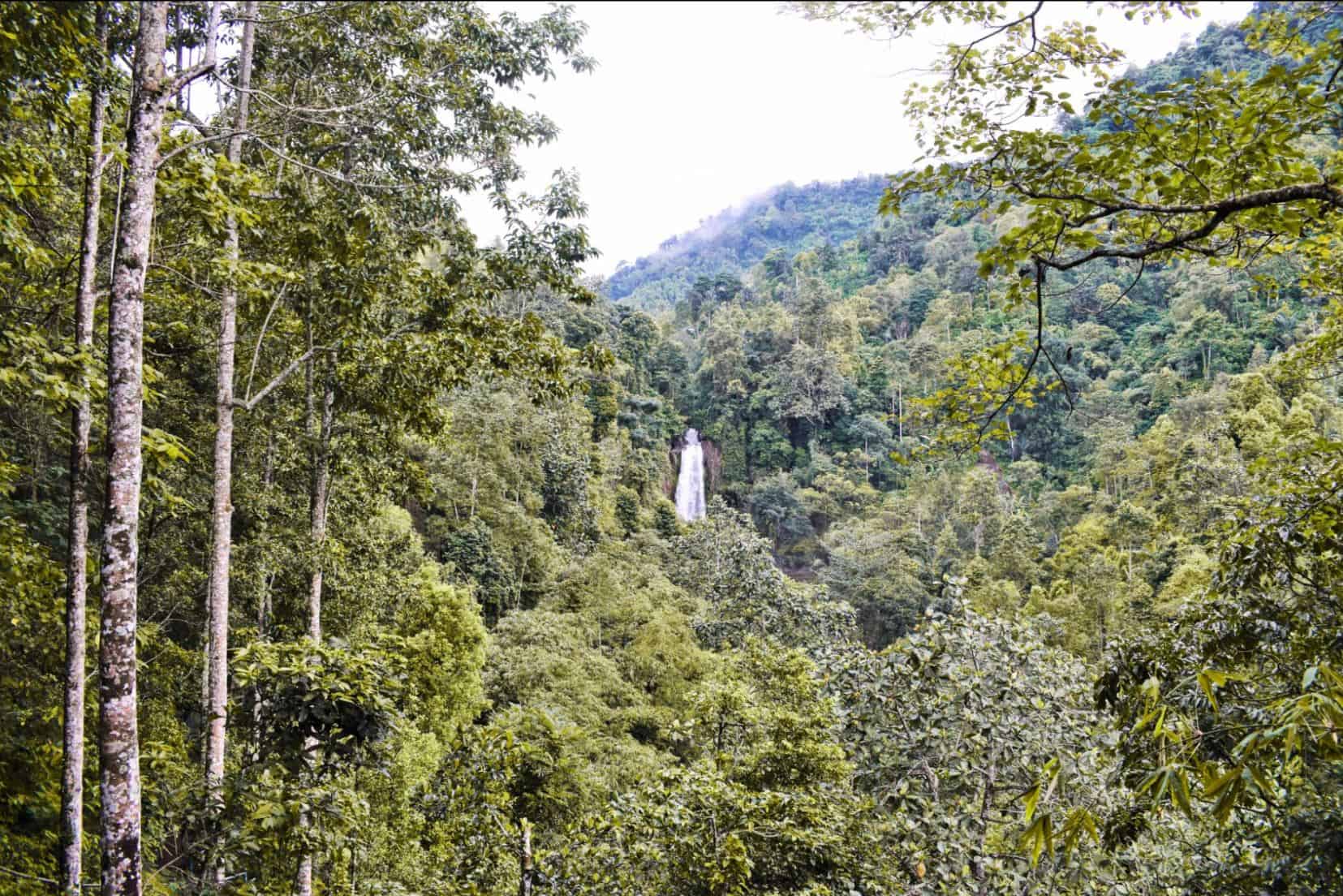 gitgit waterfall bali | git git waterfall | bali waterfalls gitgit waterfall bali | git git waterfall | bali waterfalls