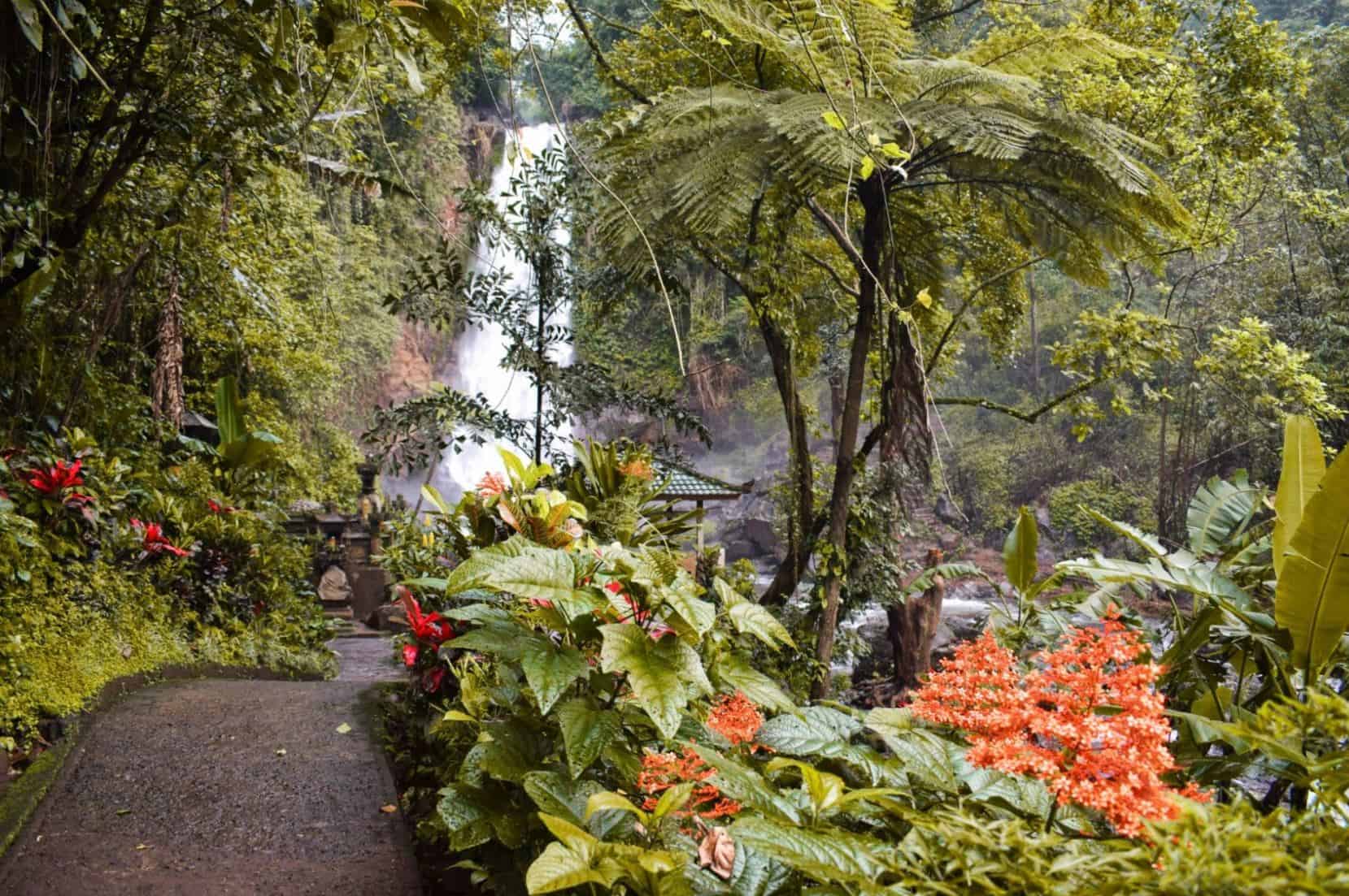 gitgit waterfall bali | git git waterfall | bali waterfalls gitgit waterfall bali | git git waterfall | bali waterfalls