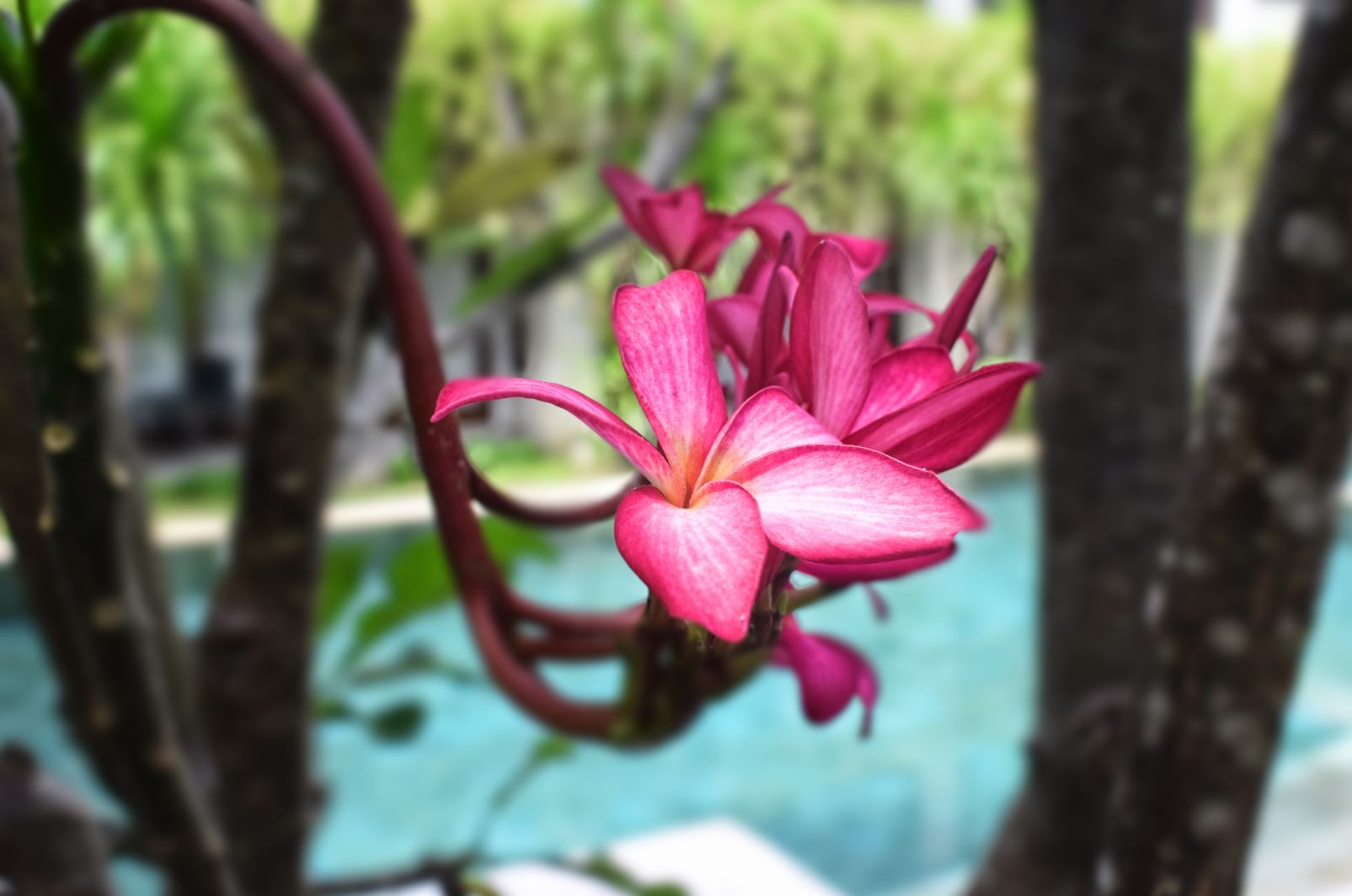the gryia sanur hotel bali