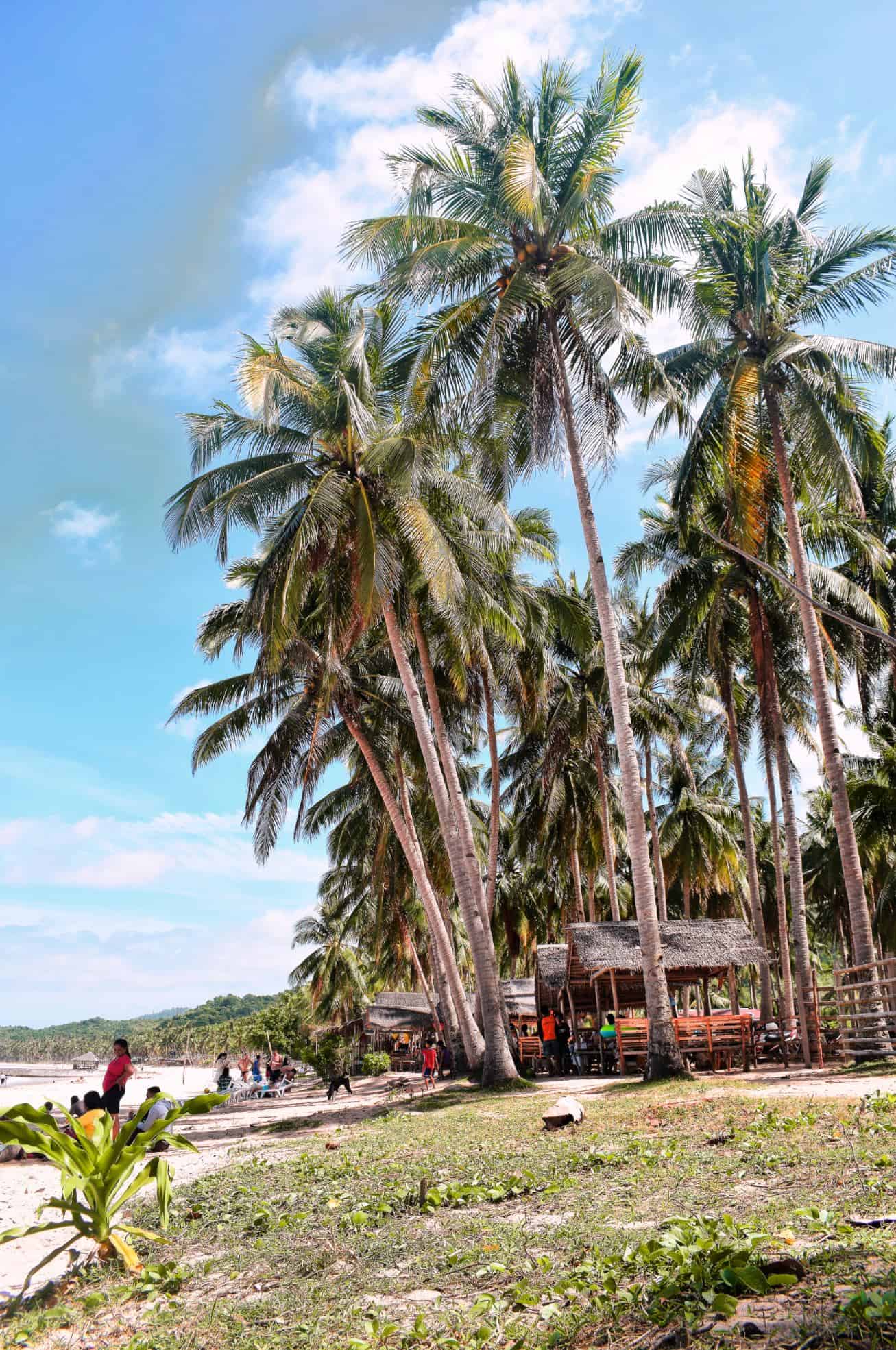 las cabanas el nido | el nido philippines | best beaches in el nido las cabanas el nido | el nido philippines | best beaches in el nido