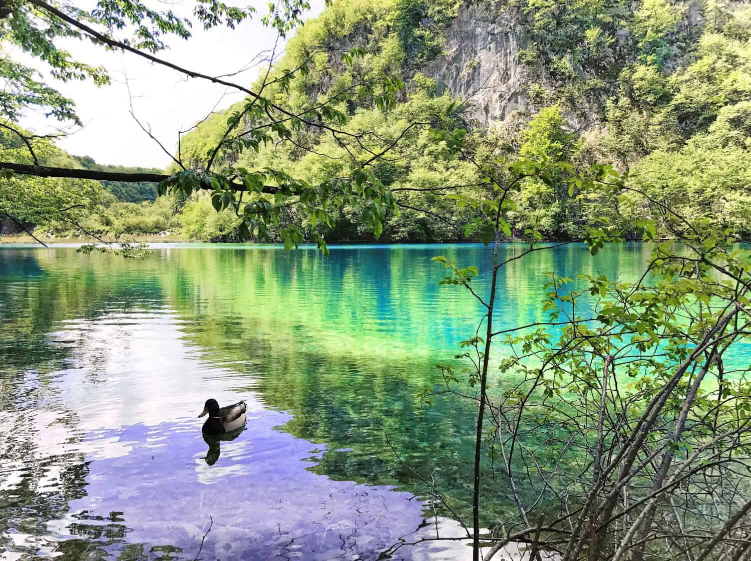Peisaj verde de vara la Lacurile Plitvice