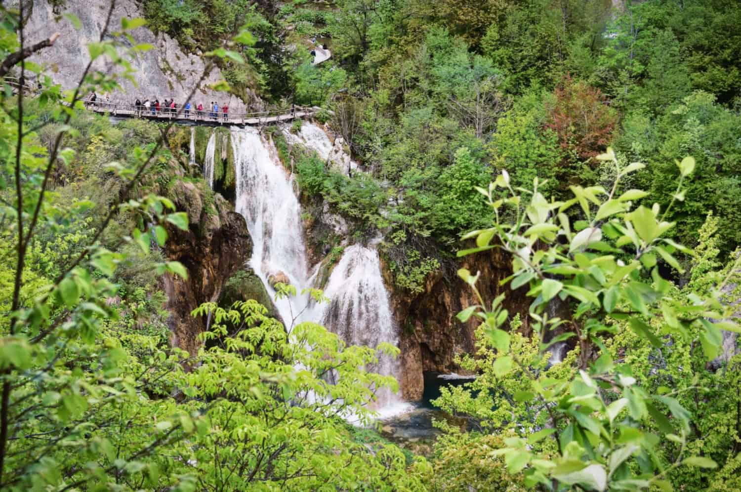 Traseu prin padure catre lacurile Plitvice