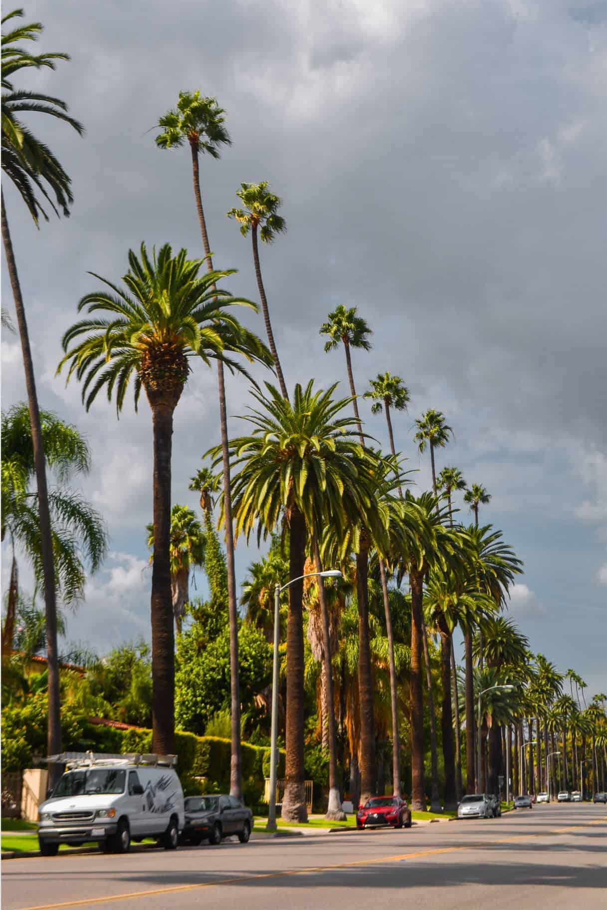 pch travel guide