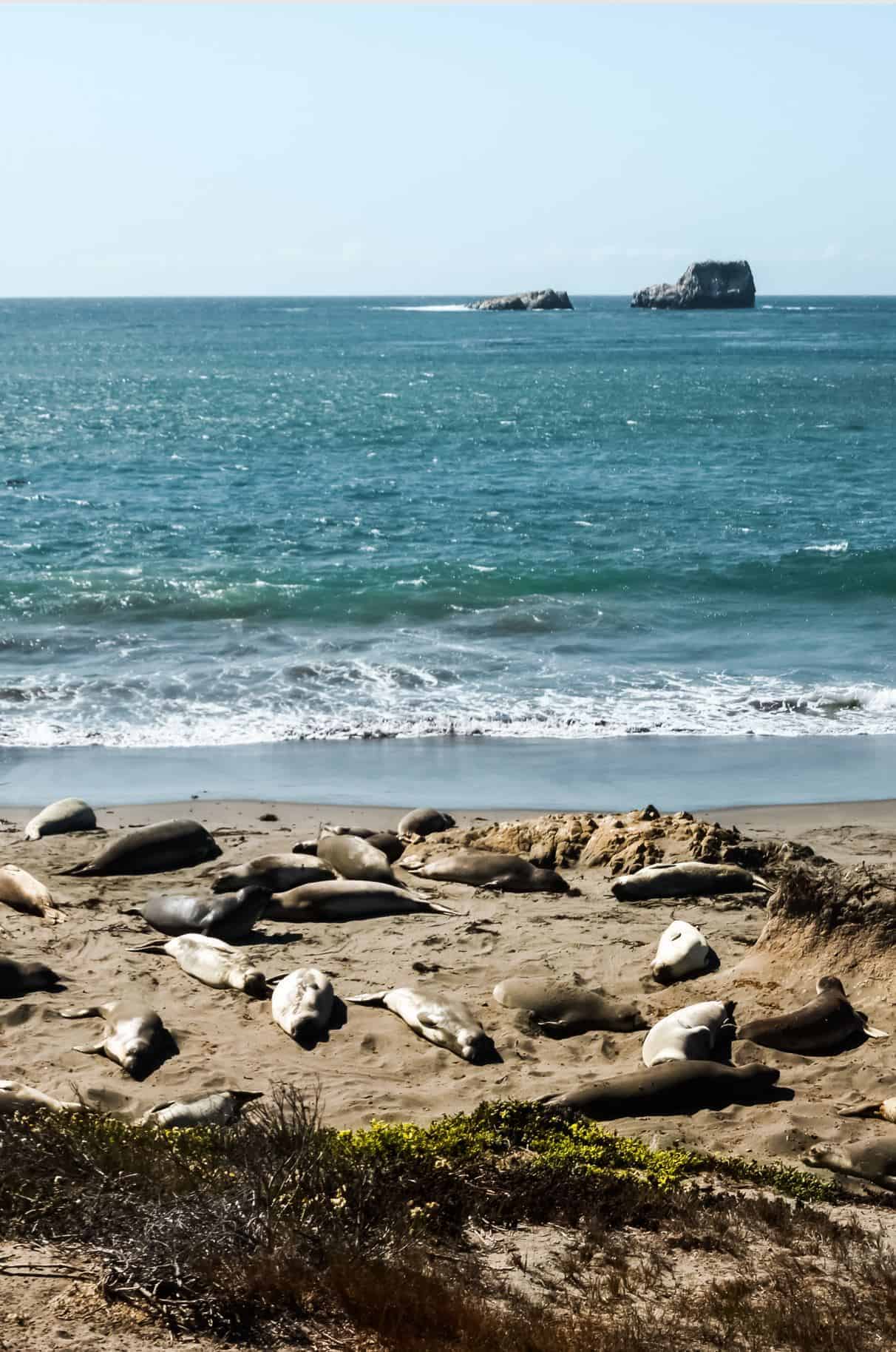 best time to drive the Pacific Coast Highway
