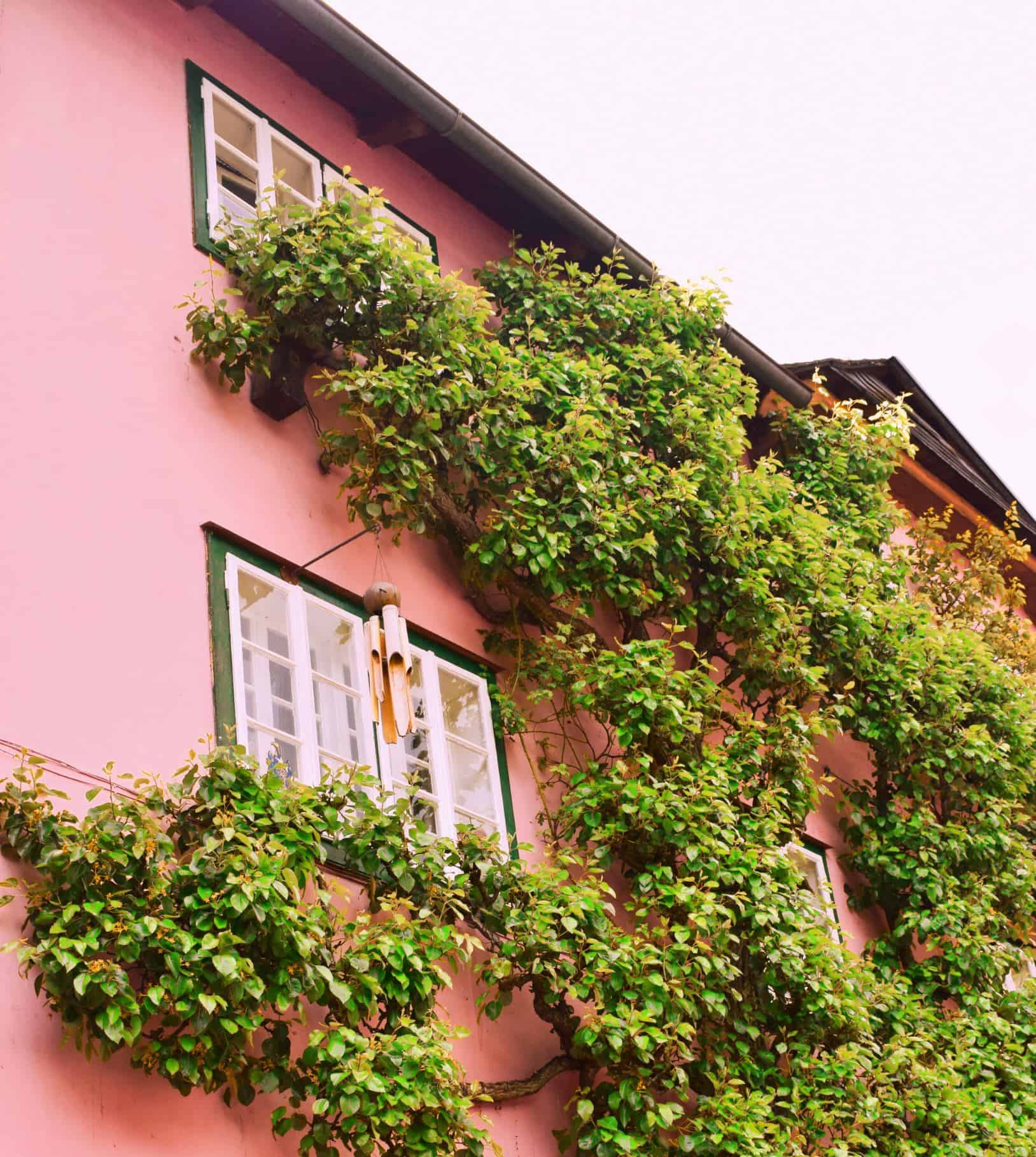 hallstatt itinerary | reasons to visit hallstatt austria | places to visit in hallstatt | reasons to visit hallstatt