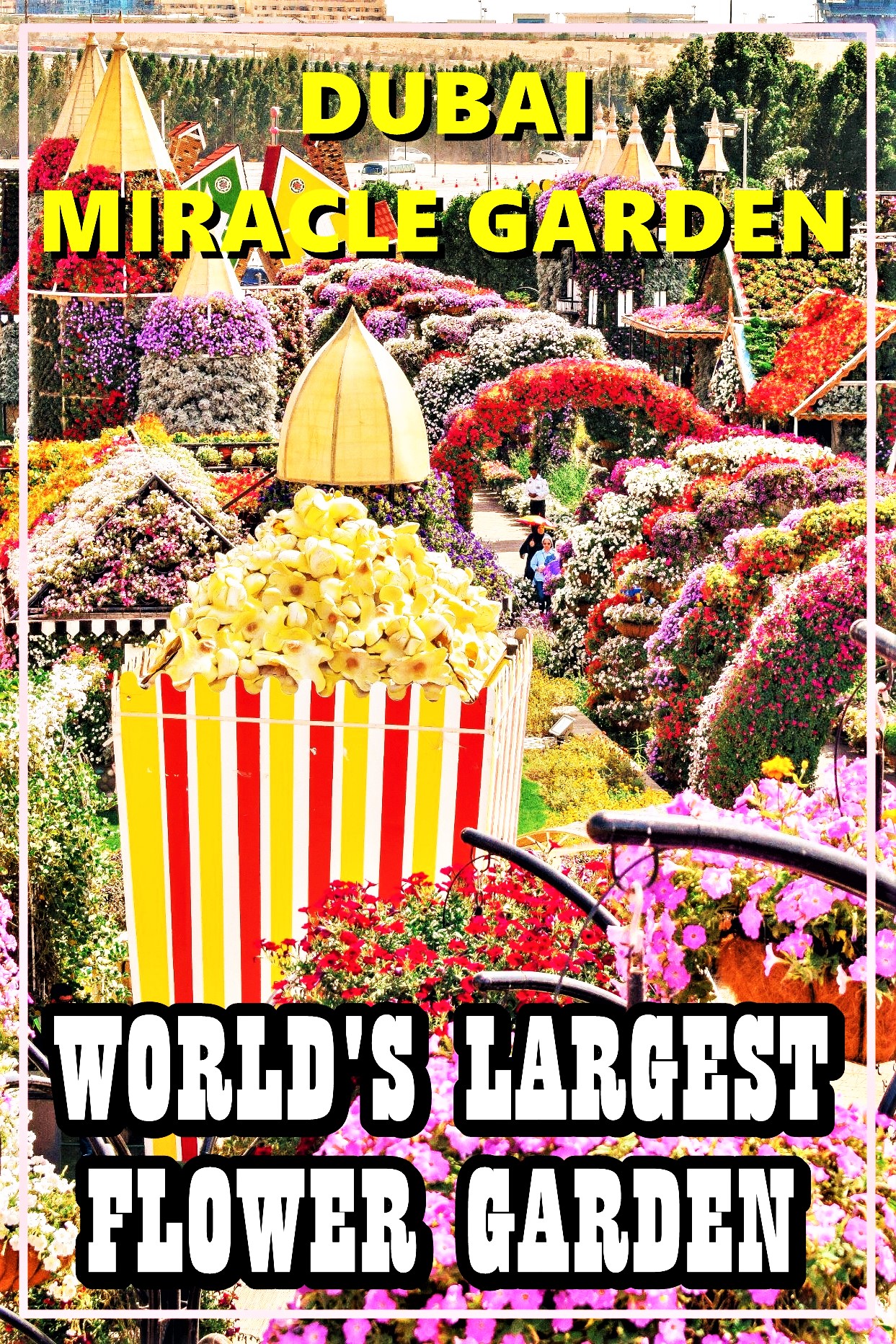 Dubai Miracle Garden UAE