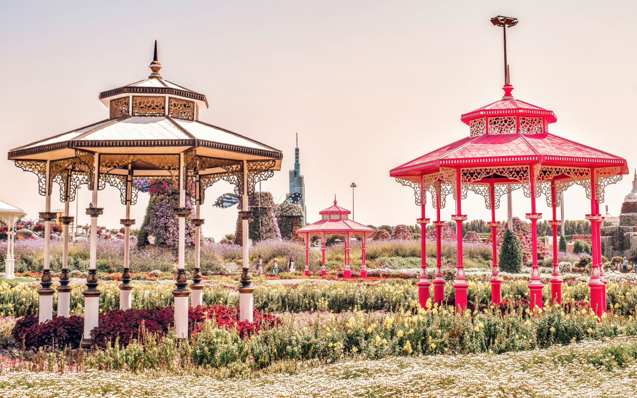 dubai miracle garden