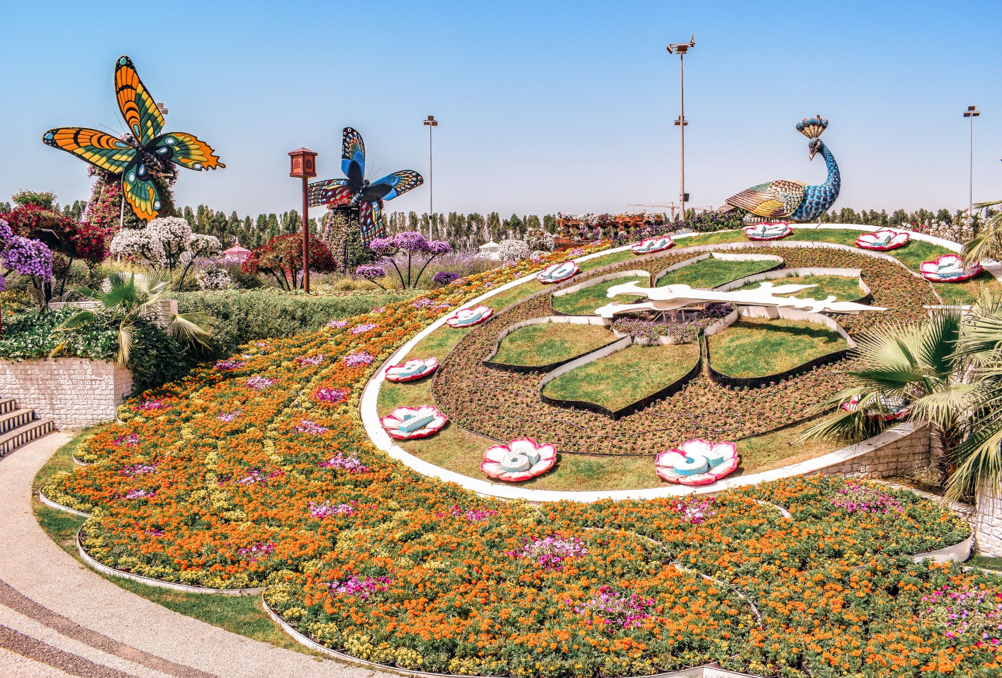 dubai miracle garden