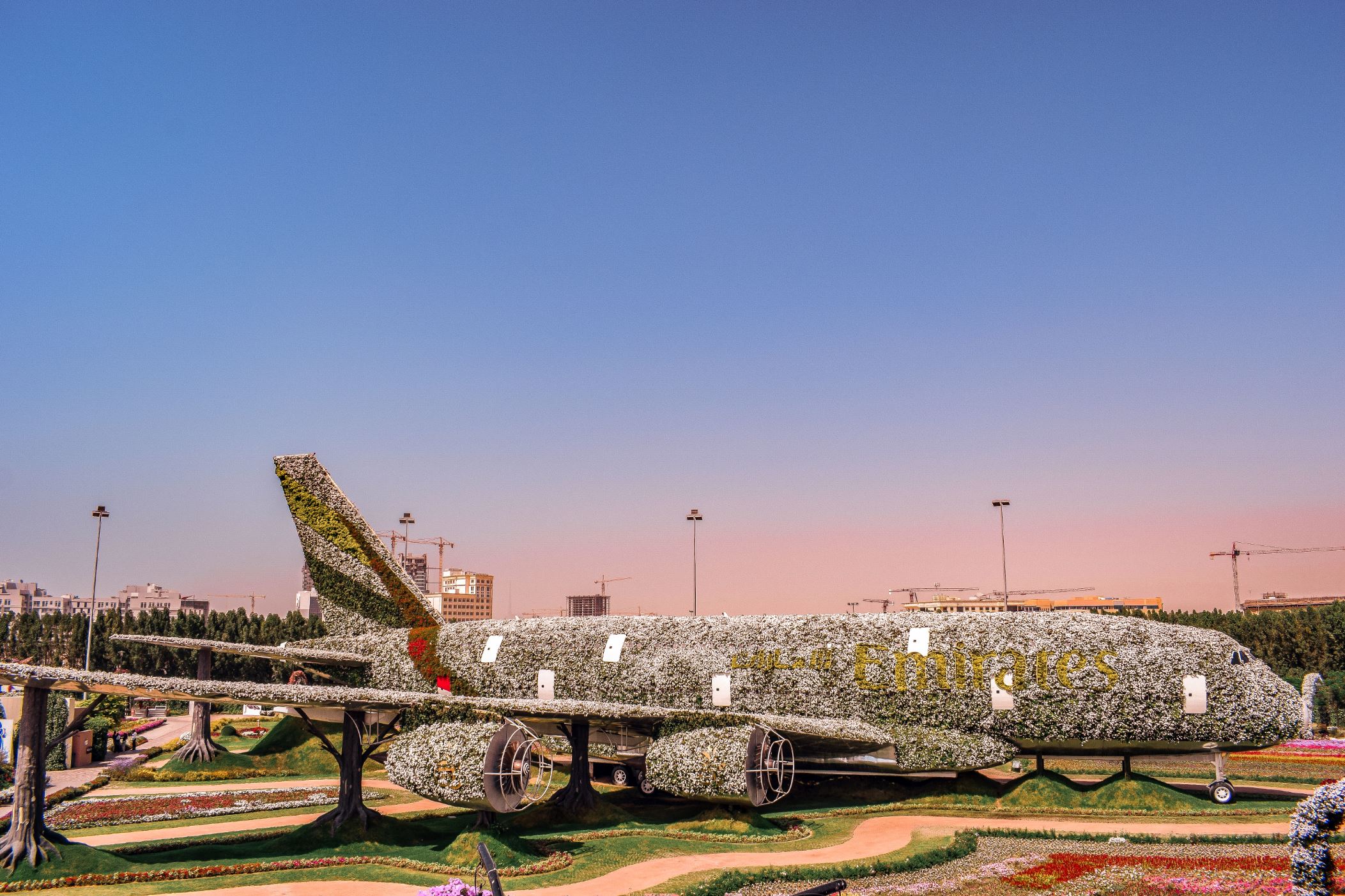 dubai miracle garden