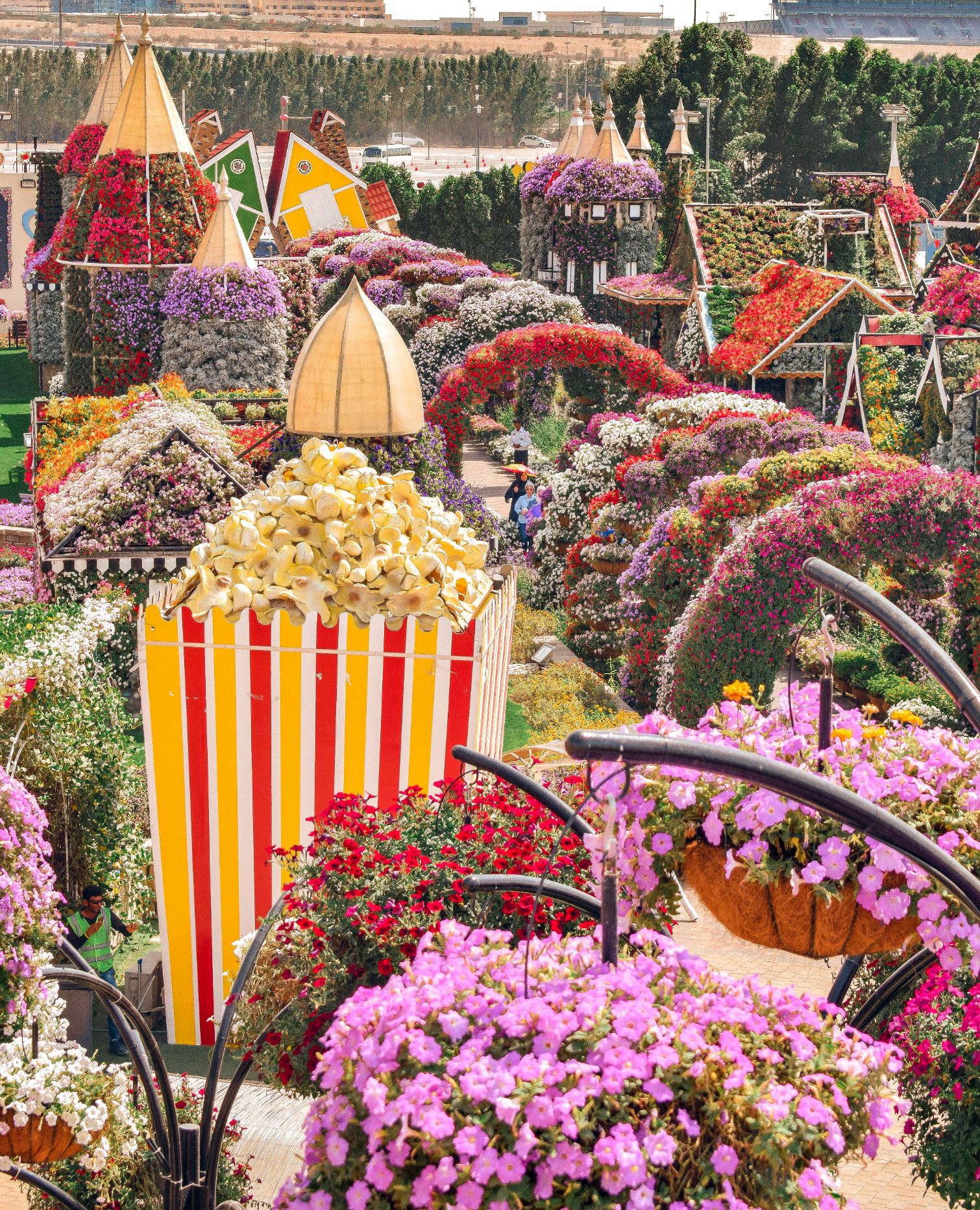 dubai miracle garden