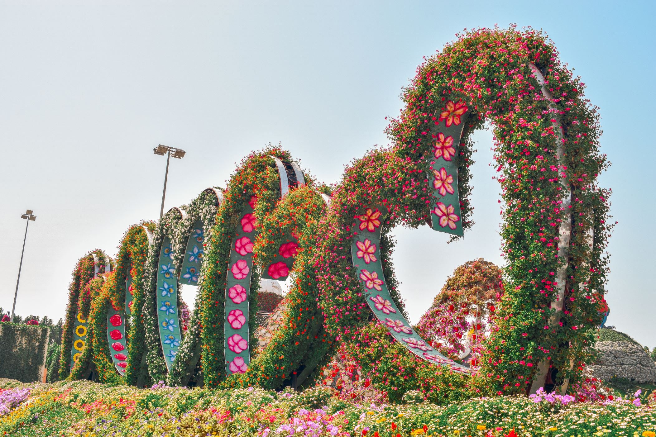 dubai miracle garden