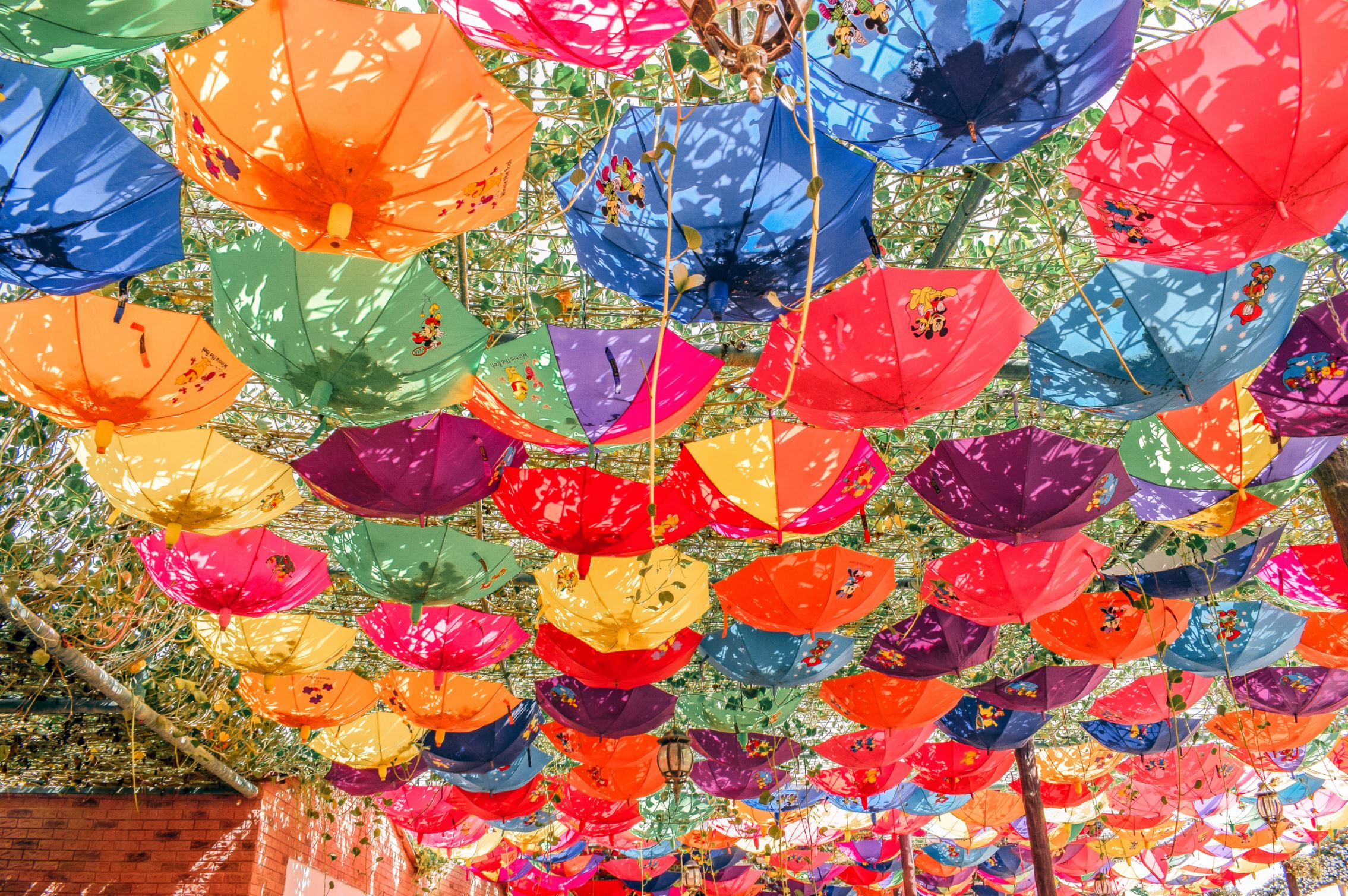 dubai miracle garden