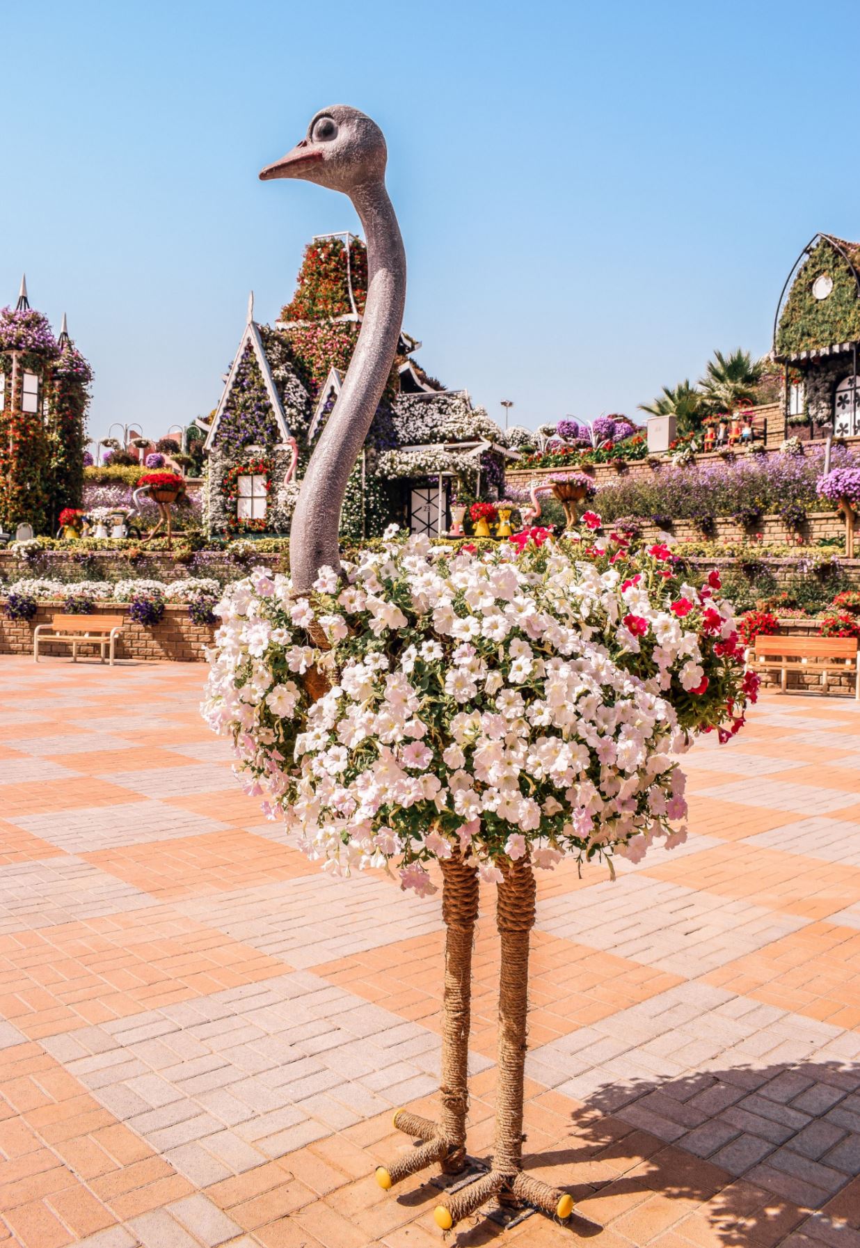 dubai miracle garden