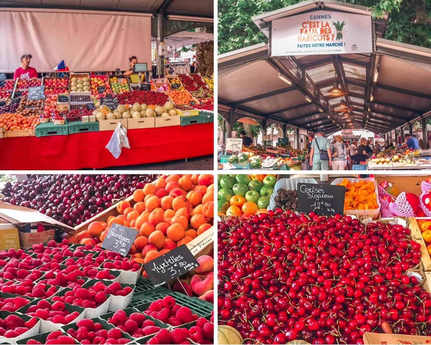 unique things to do in Cannes