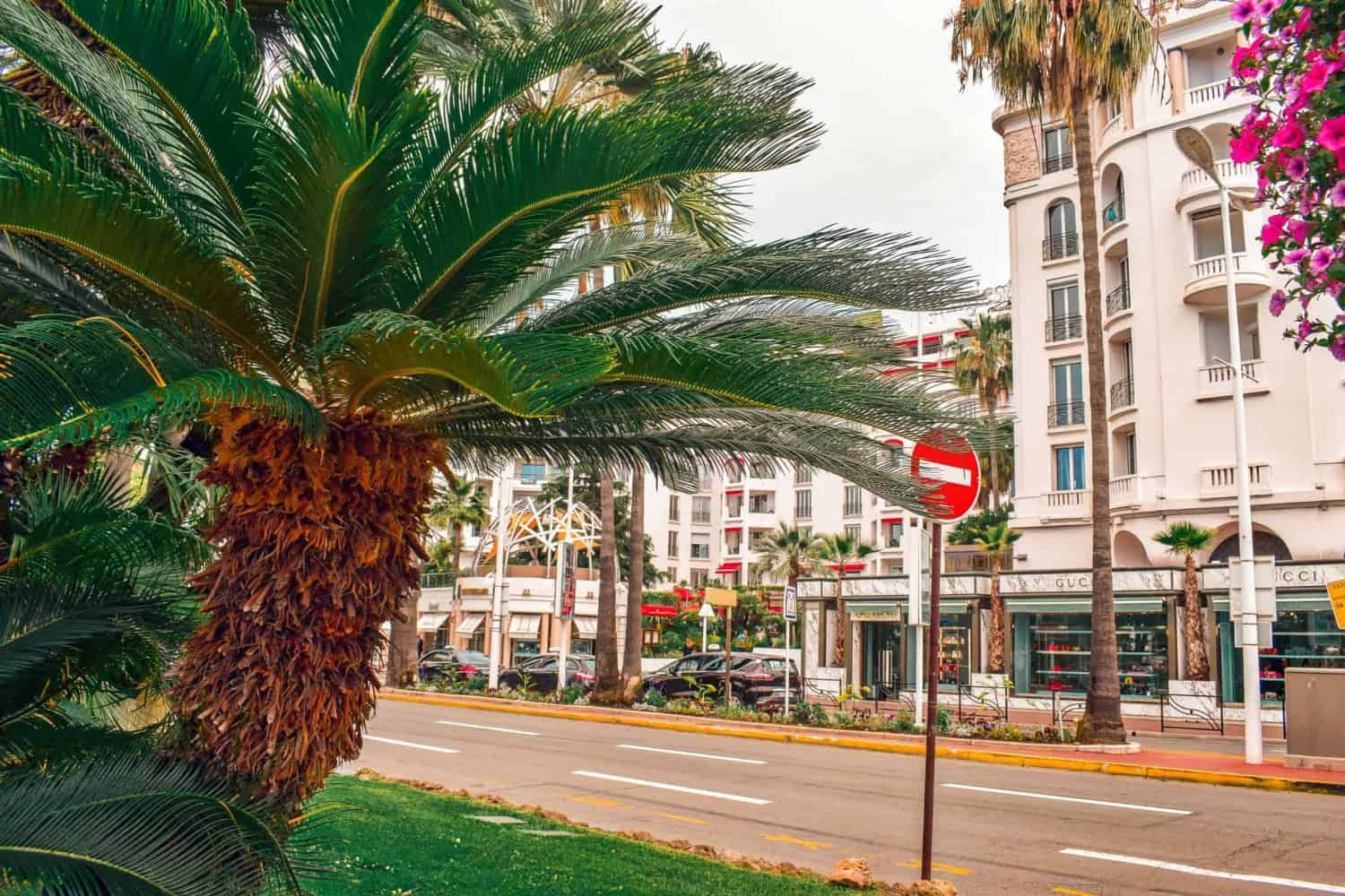 unique things to do in Cannes