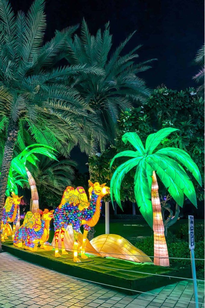 Dubai top 10 activities