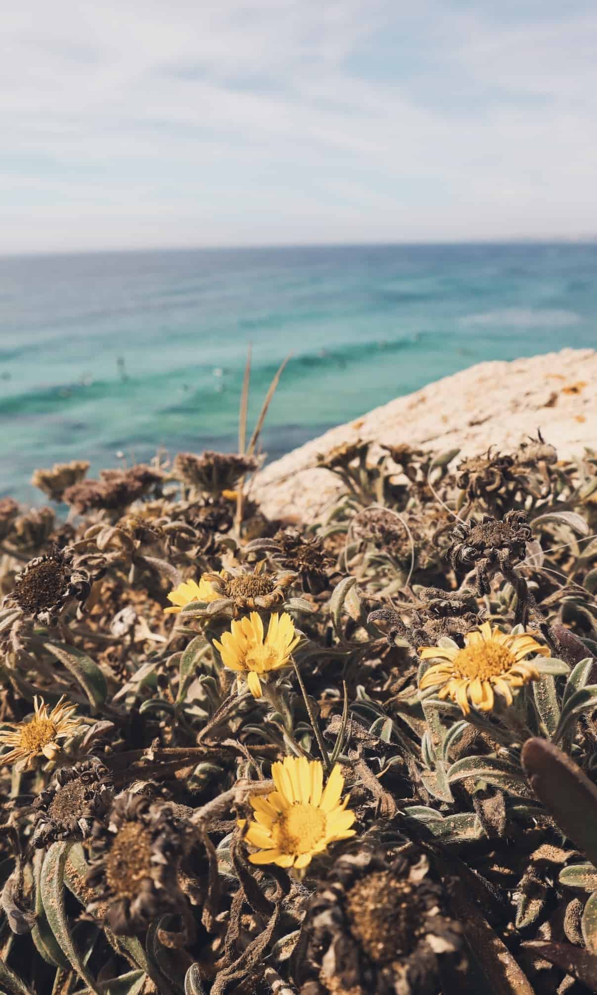 7 most beautiful beaches in portugal