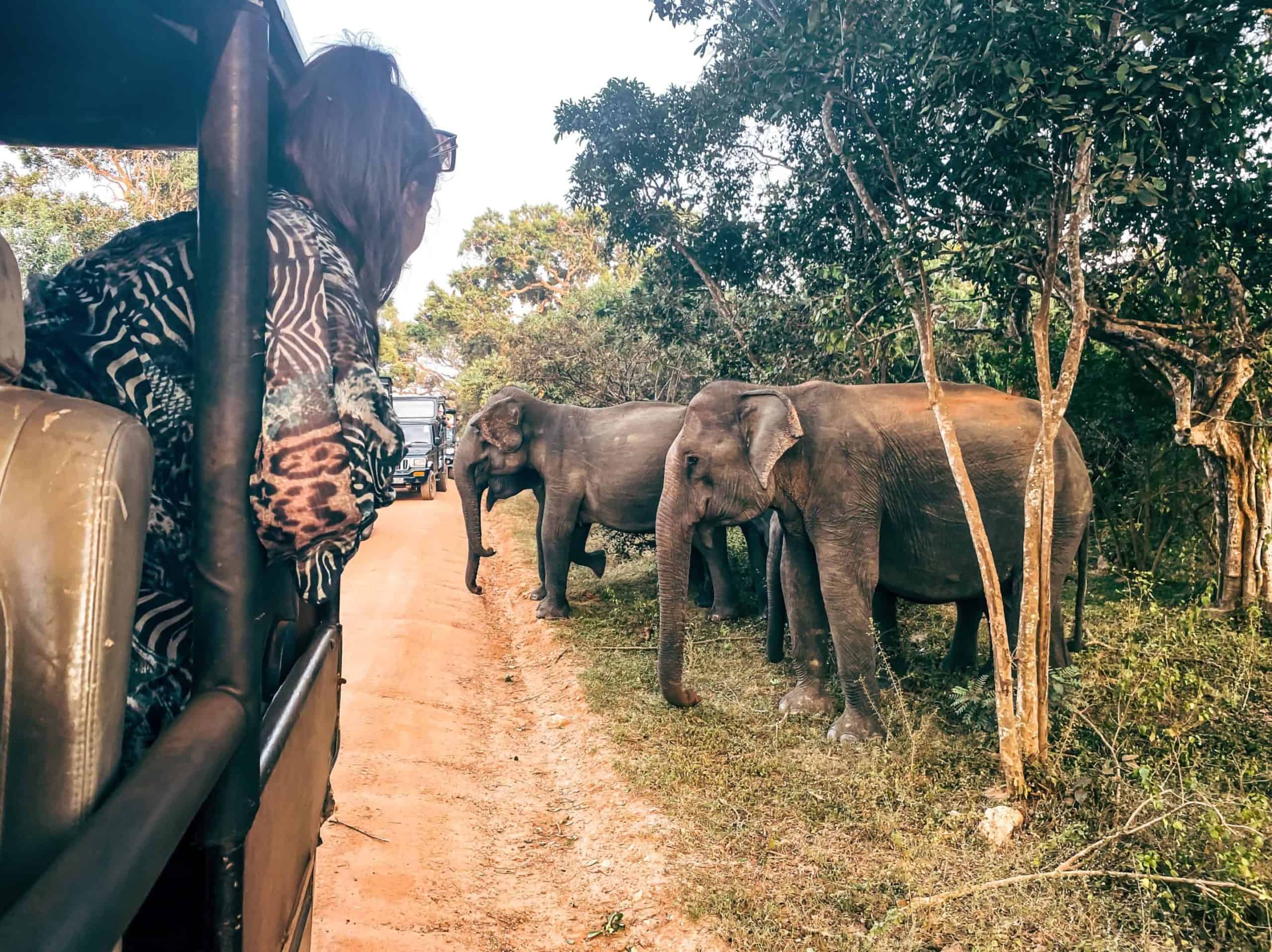 o saptamana in sri lanka | locuri de vizitat in sri lanka | ce poti vizita in sri lanka | ce sa faci in sri lanka | itinerar sri lanka | 7 zile in sri lanka