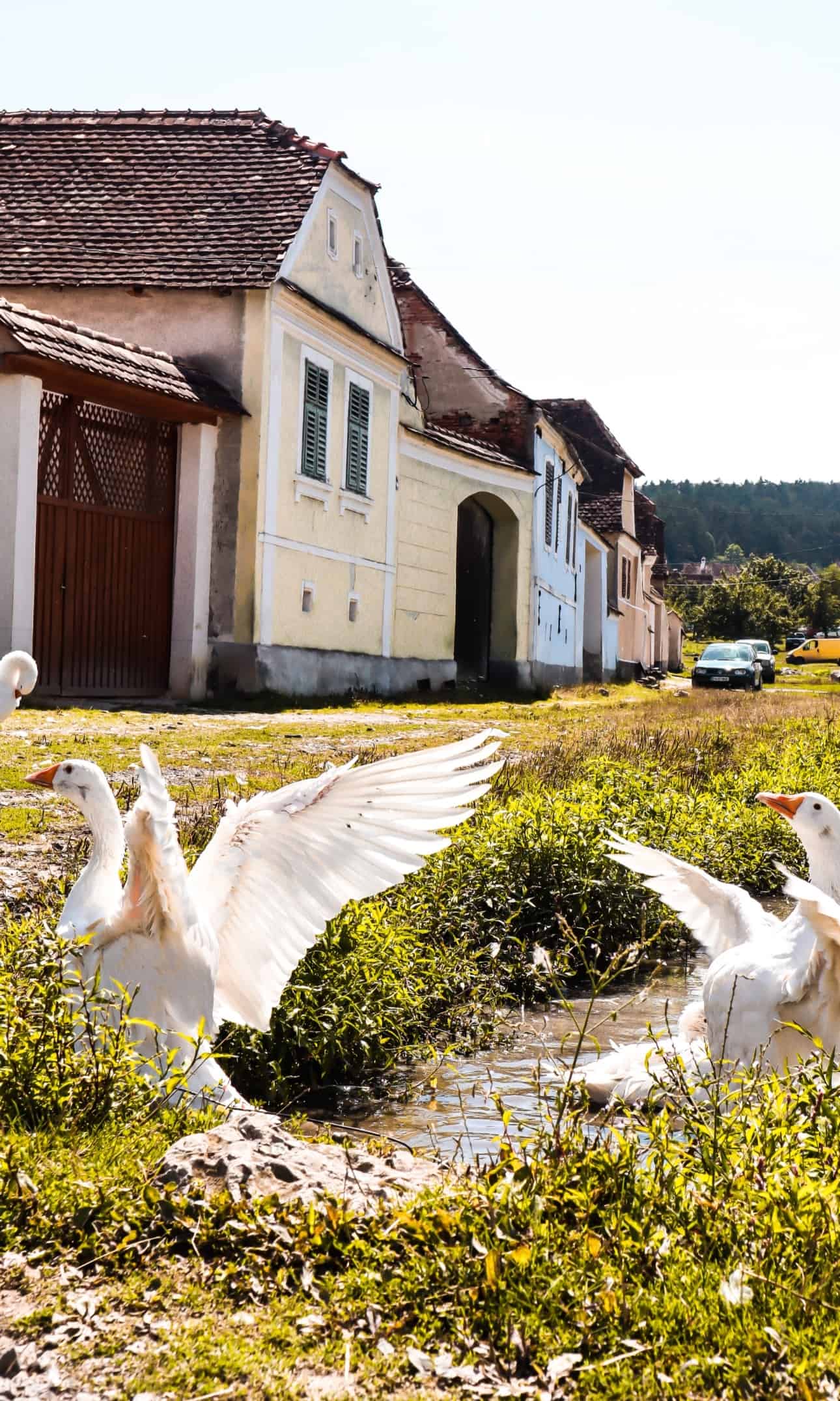 3 must-see villages in Transylvania, Romania