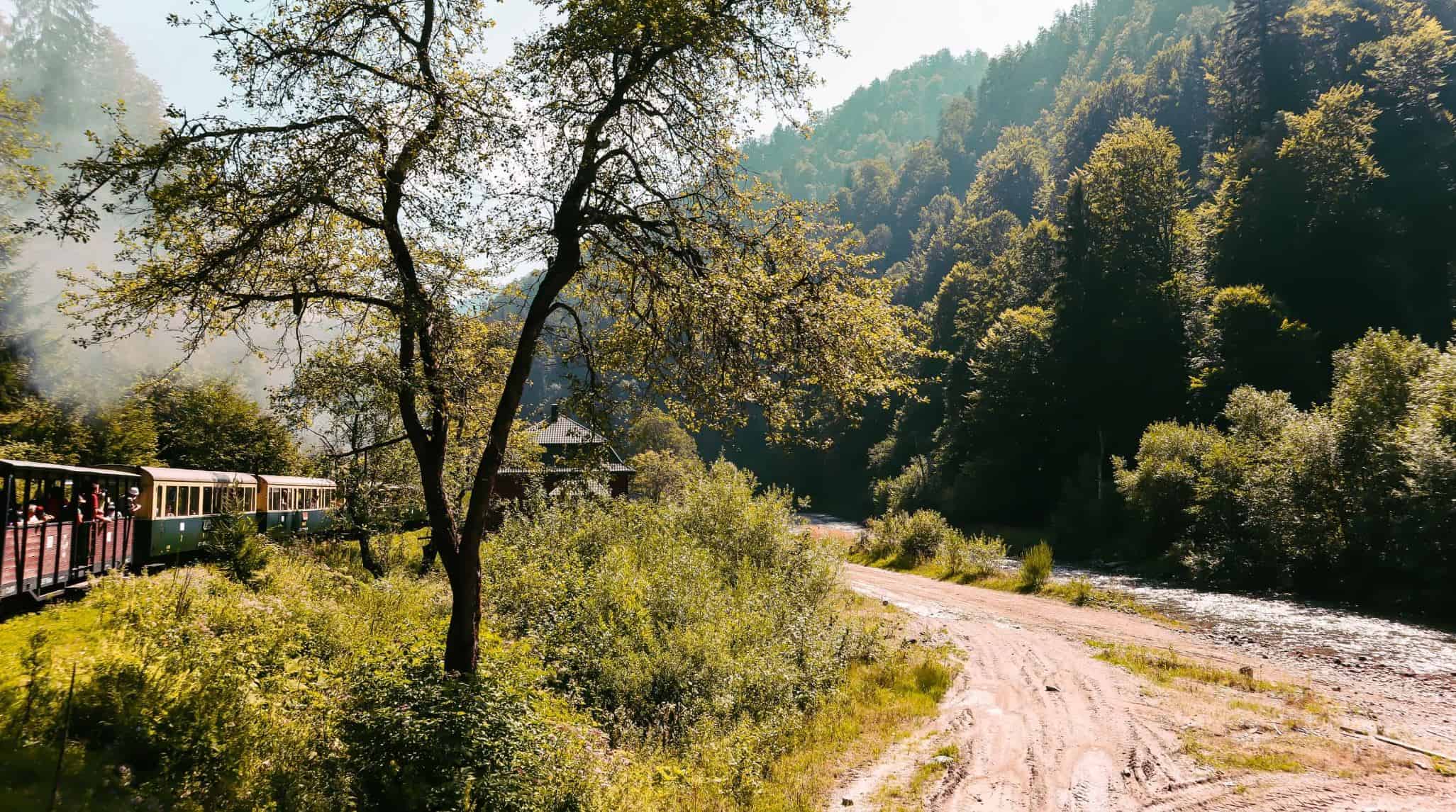 Mocanita Steam train in Viseu de Sus Maramures Romania