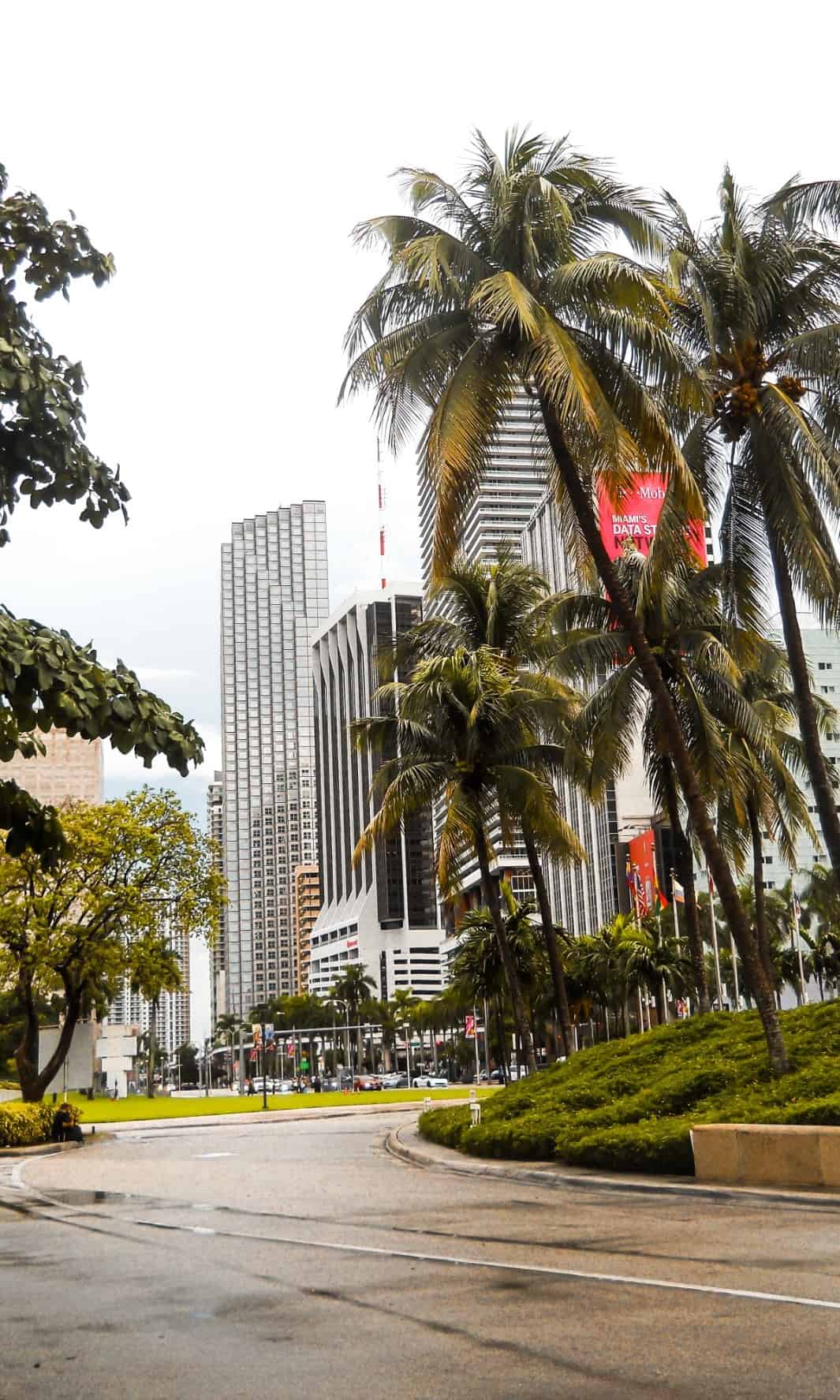 10 things to do in Miami | Downtown Miami 10 things to do in Miami | Downtown Miami