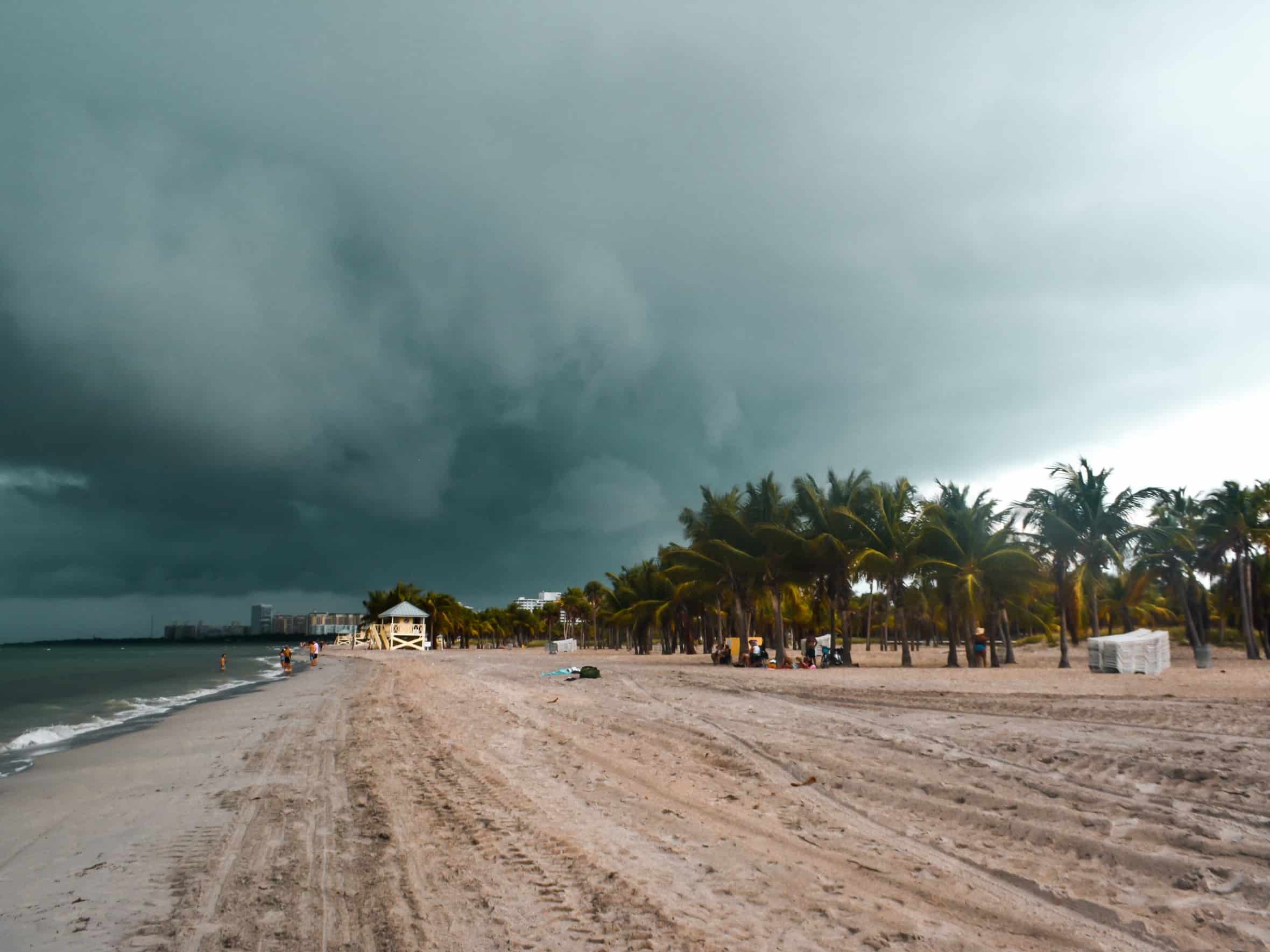 10 things to do in Miami | Crandon Park beach 10 things to do in Miami | Crandon Park beach