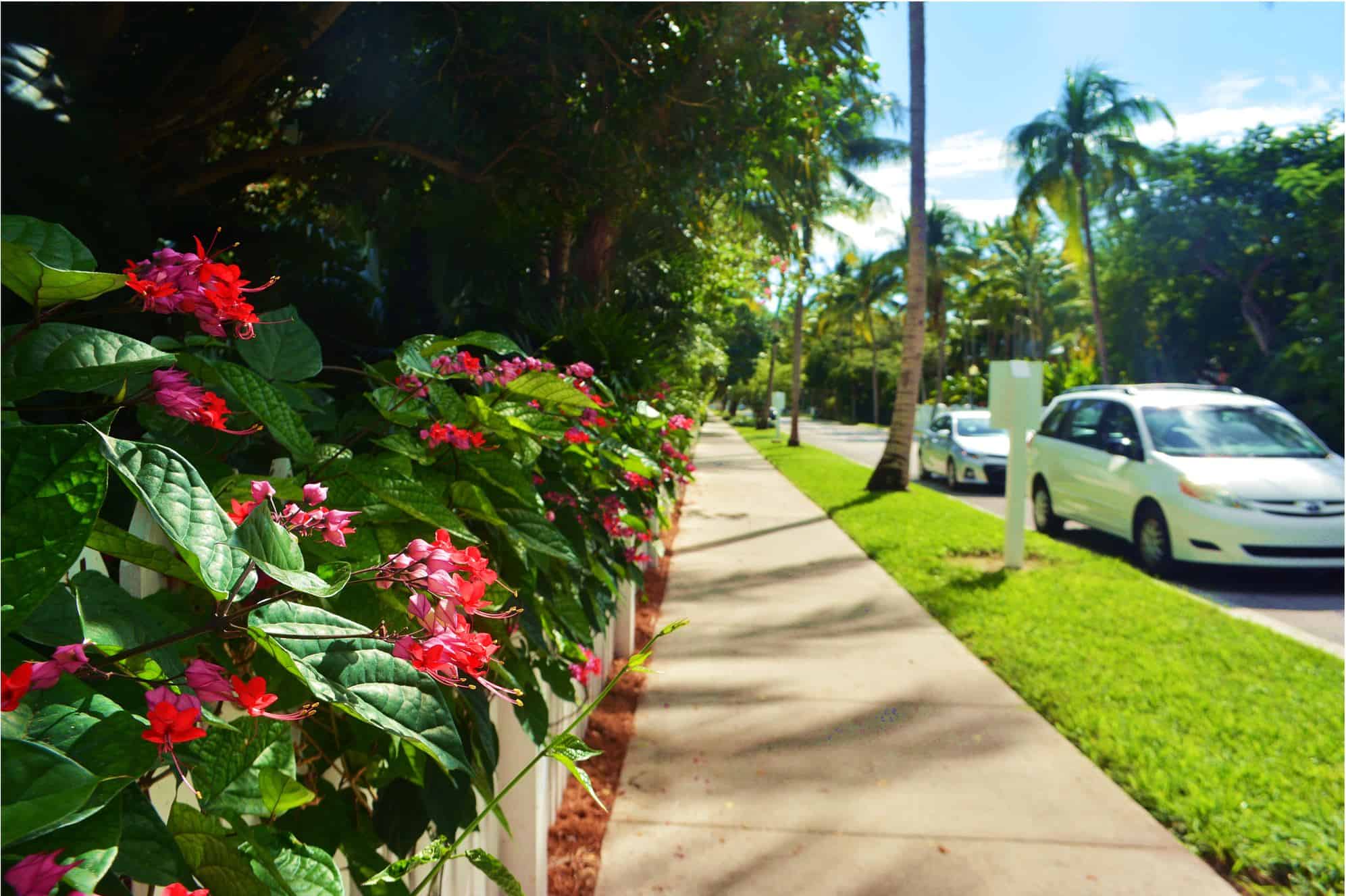 top 10 things to do in Key West Florida
