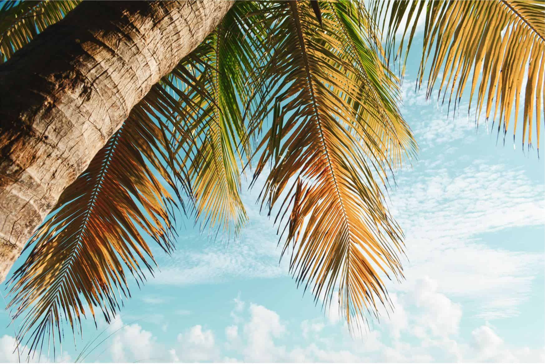 top 10 things to do in Key West Florida