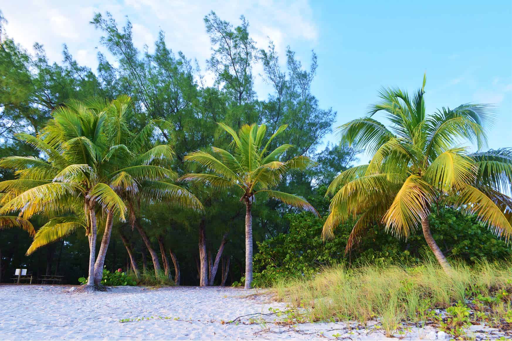 top 10 things to do in Key West Florida