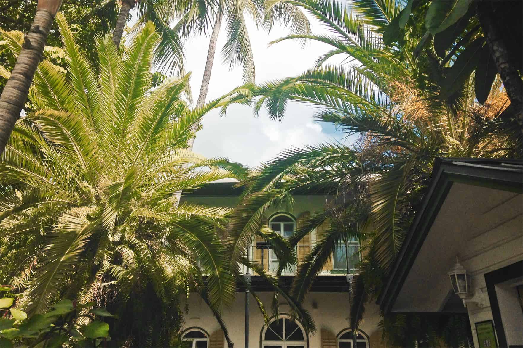 top 10 things to do in Key West Florida