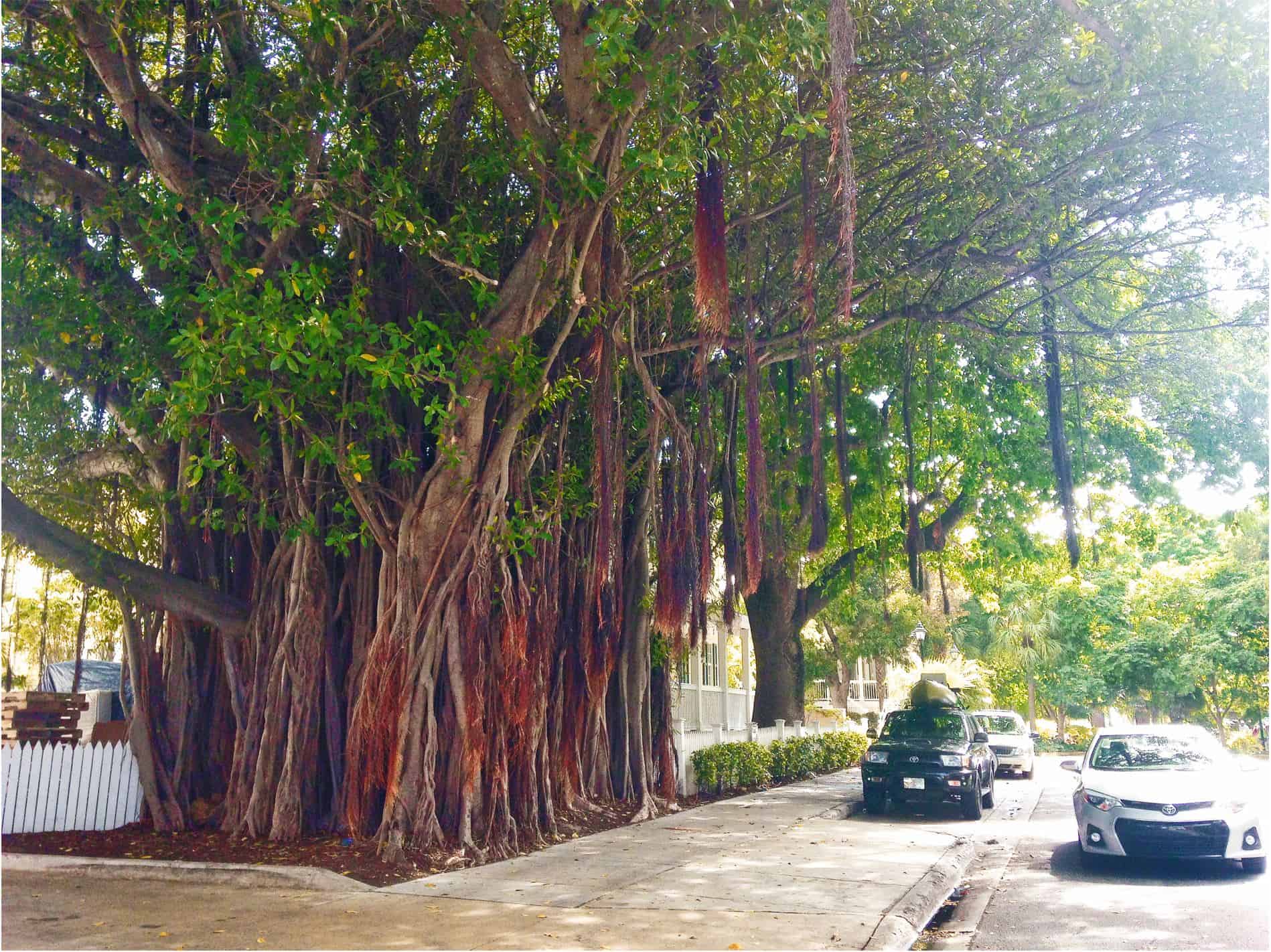 top 10 things to do in Key West Florida