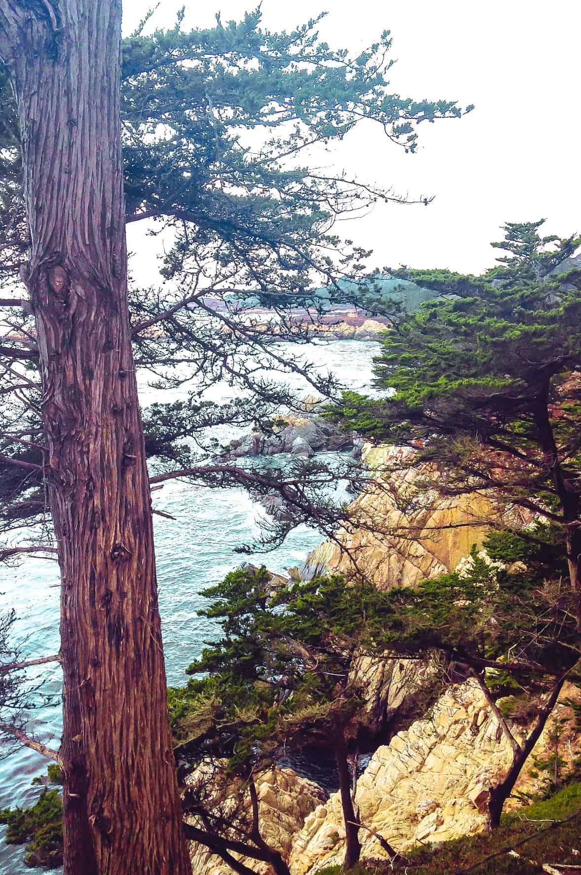 towns to visit on the West Coast