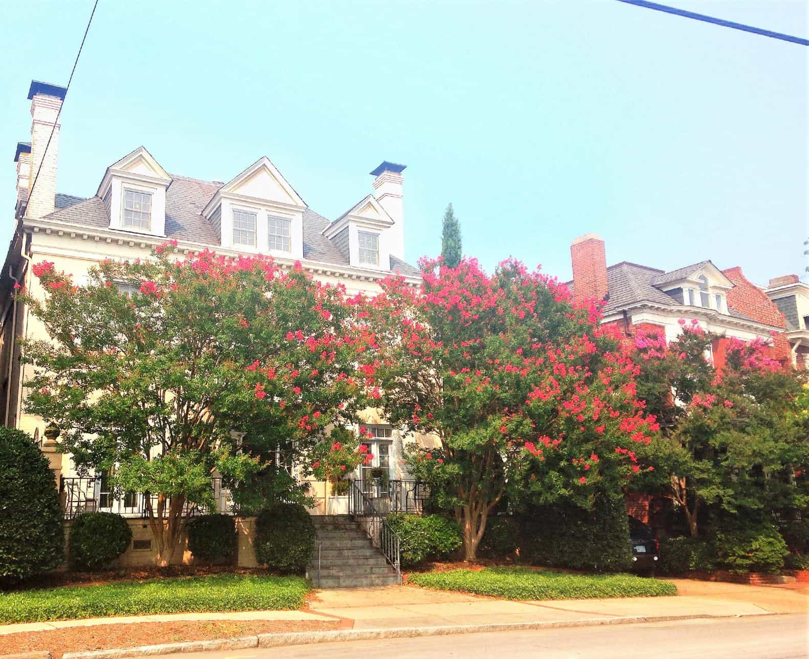 Best things to do in Norfolk Va