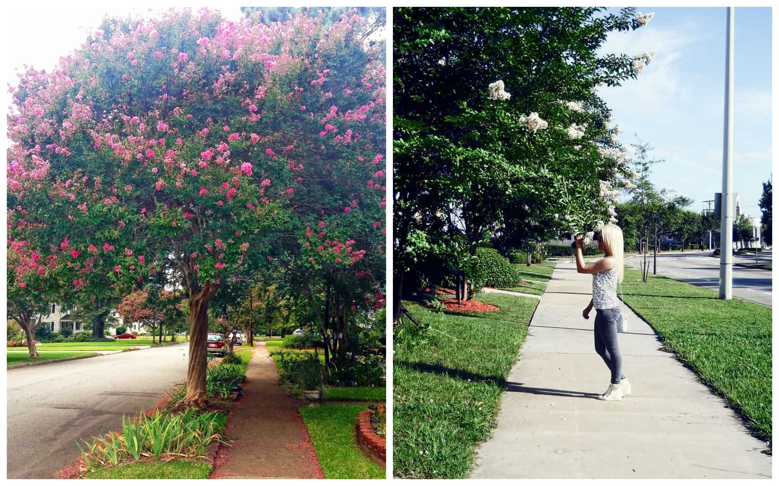 Best things to do in Norfolk Va