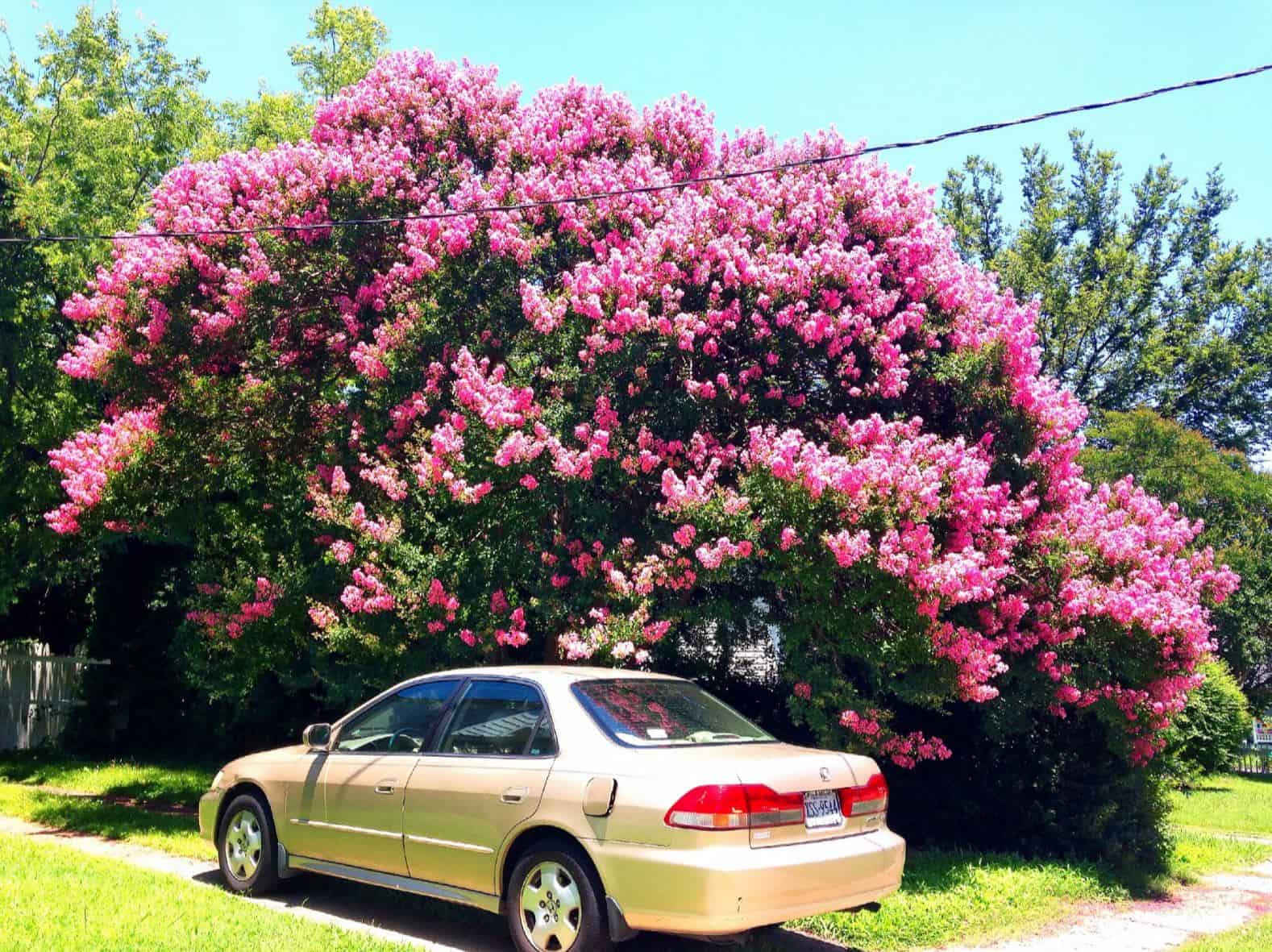 Best things to do in Norfolk Va