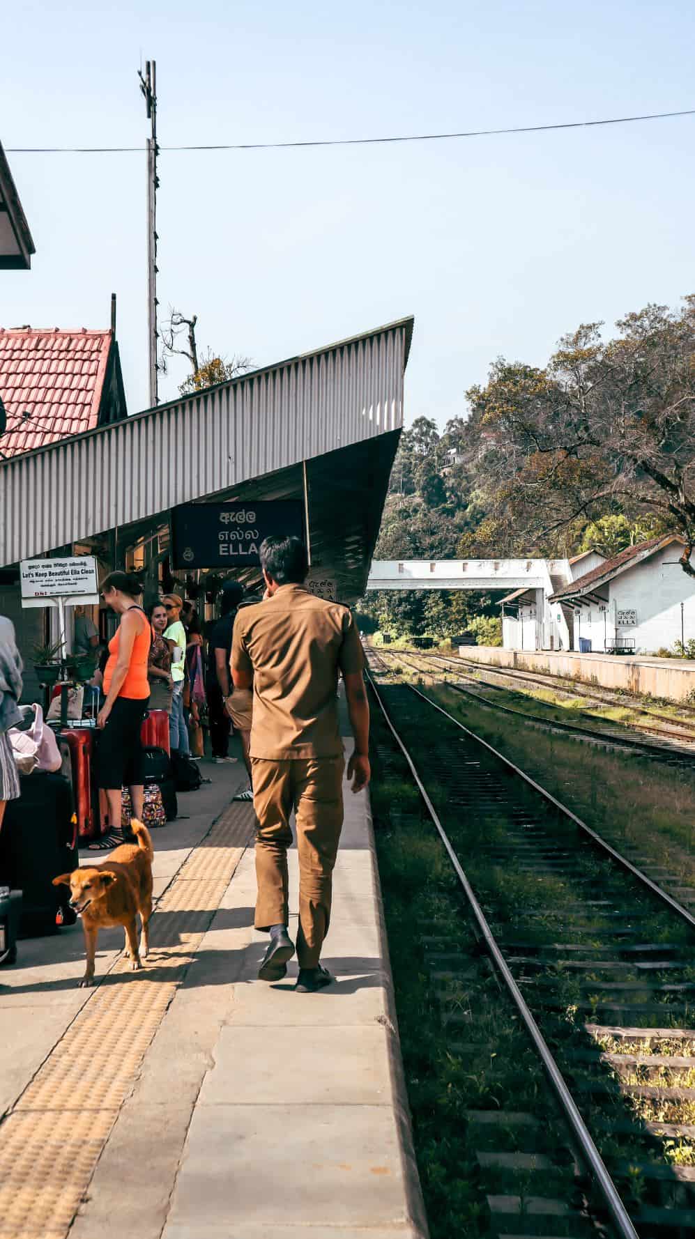 best things to do in Ella, Sri Lanka - train ride Ella to Haputale
