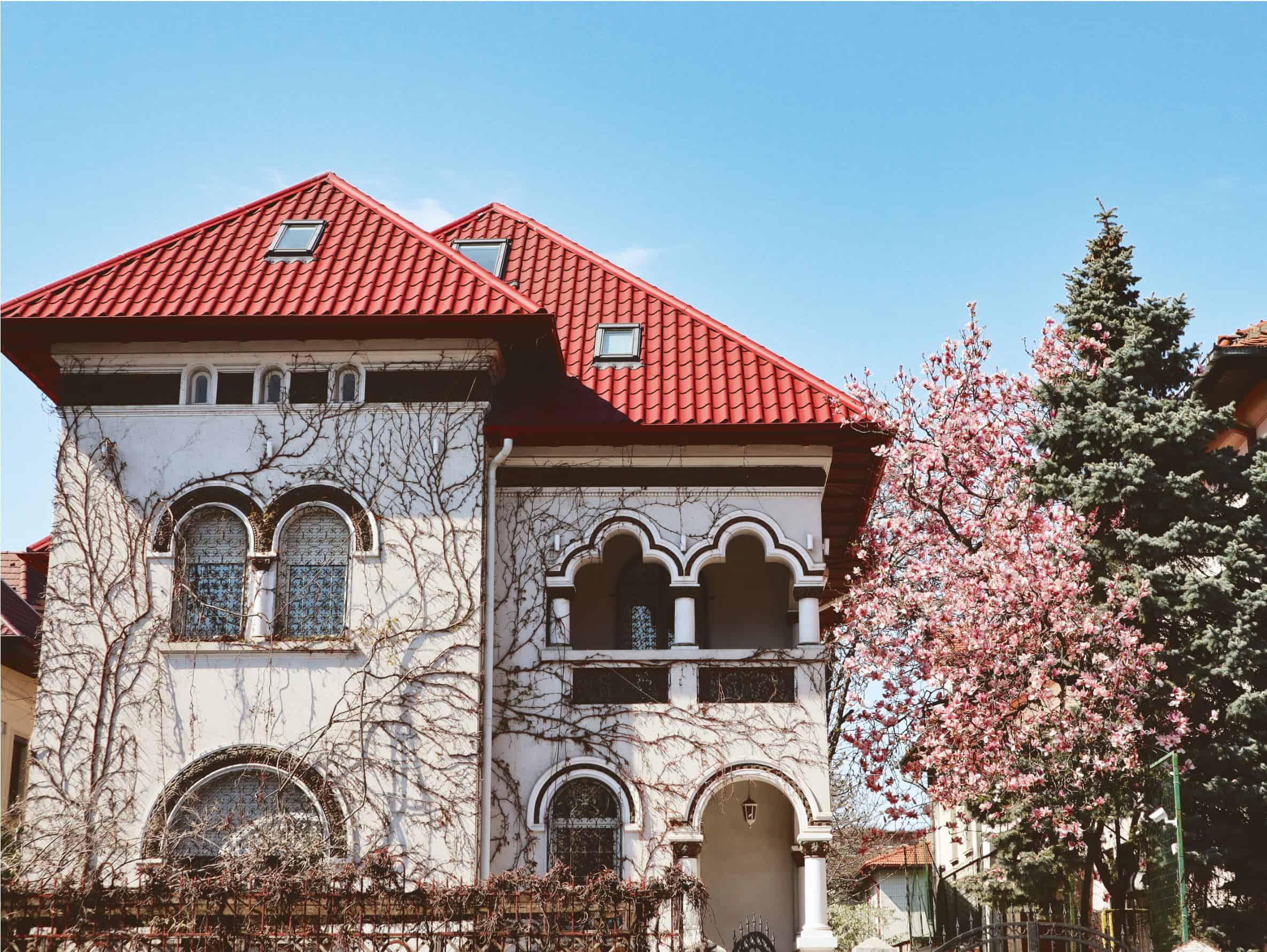 magnolii in Bucuresti