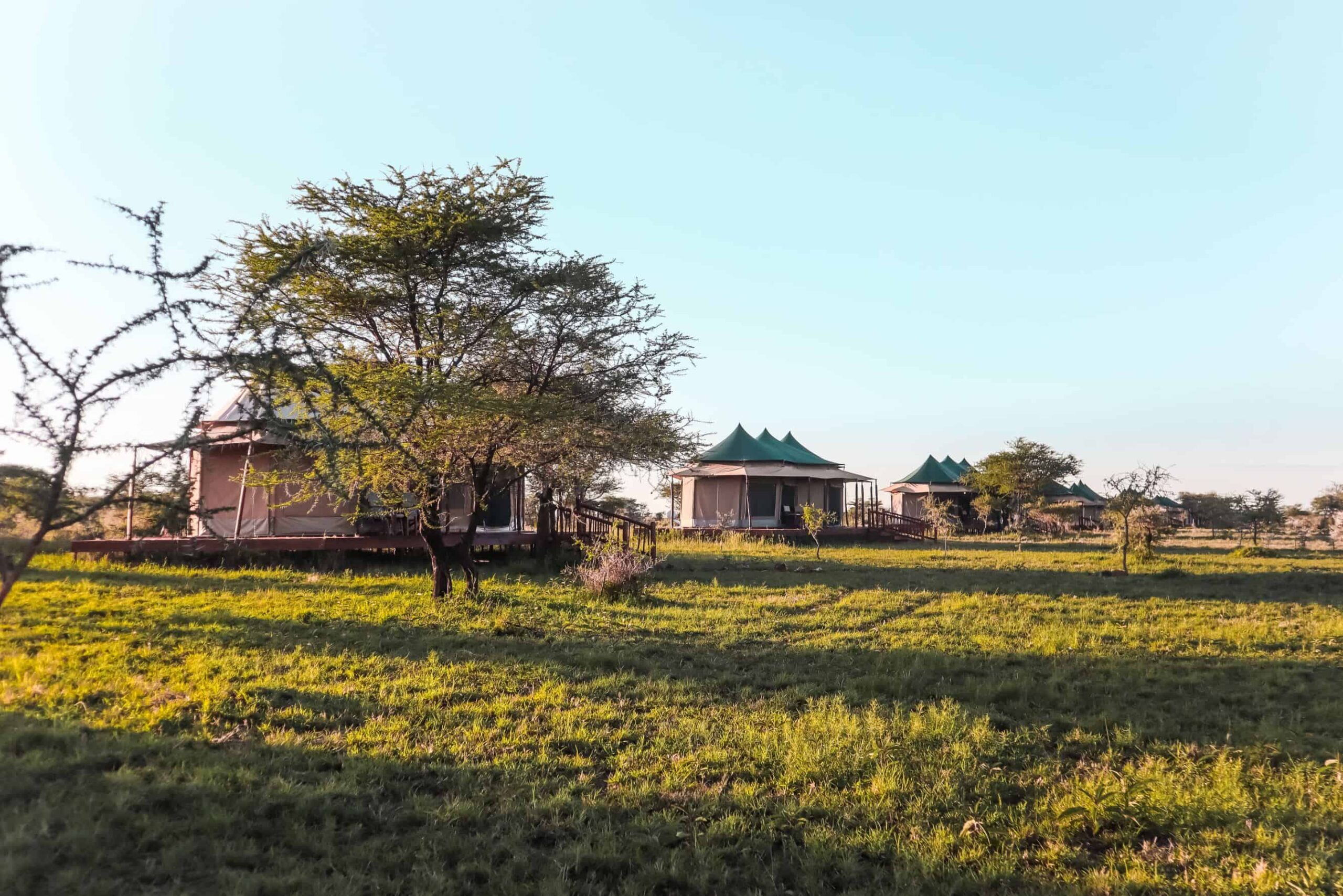 things to know before going on a safari in Tanzania