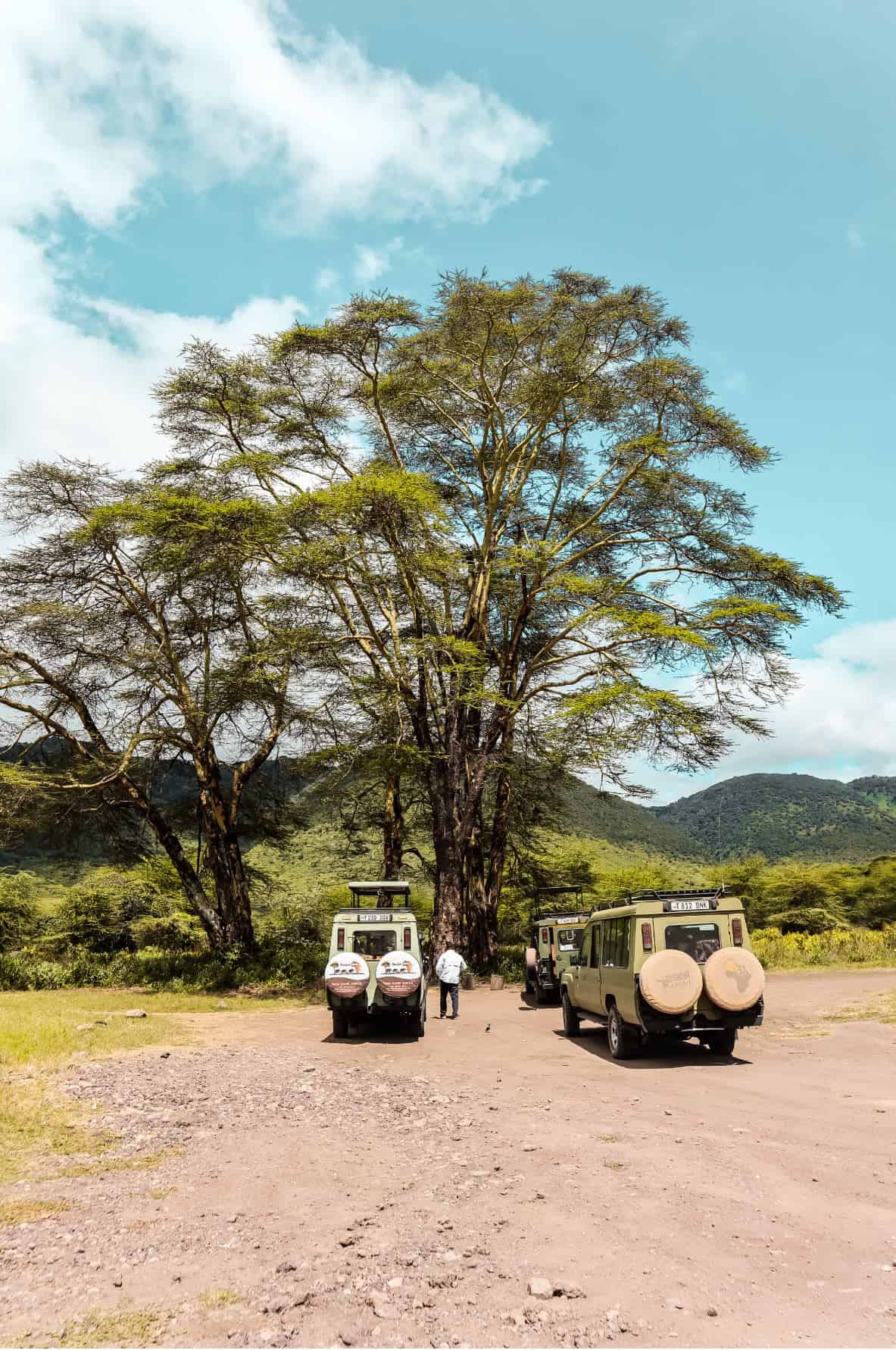 things to know before going on a safari in Tanzania