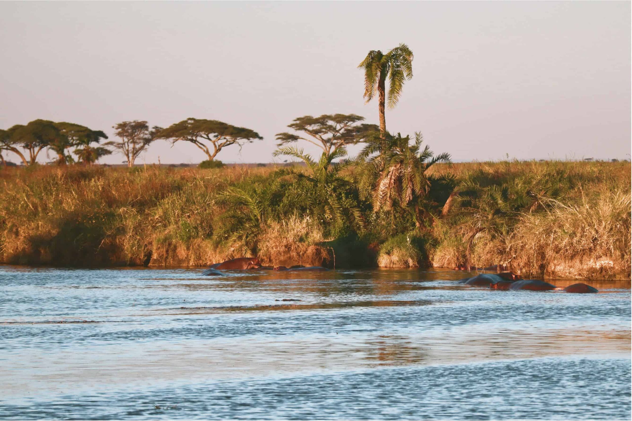 5 days safari in Tanzania - safari itinerary and costs