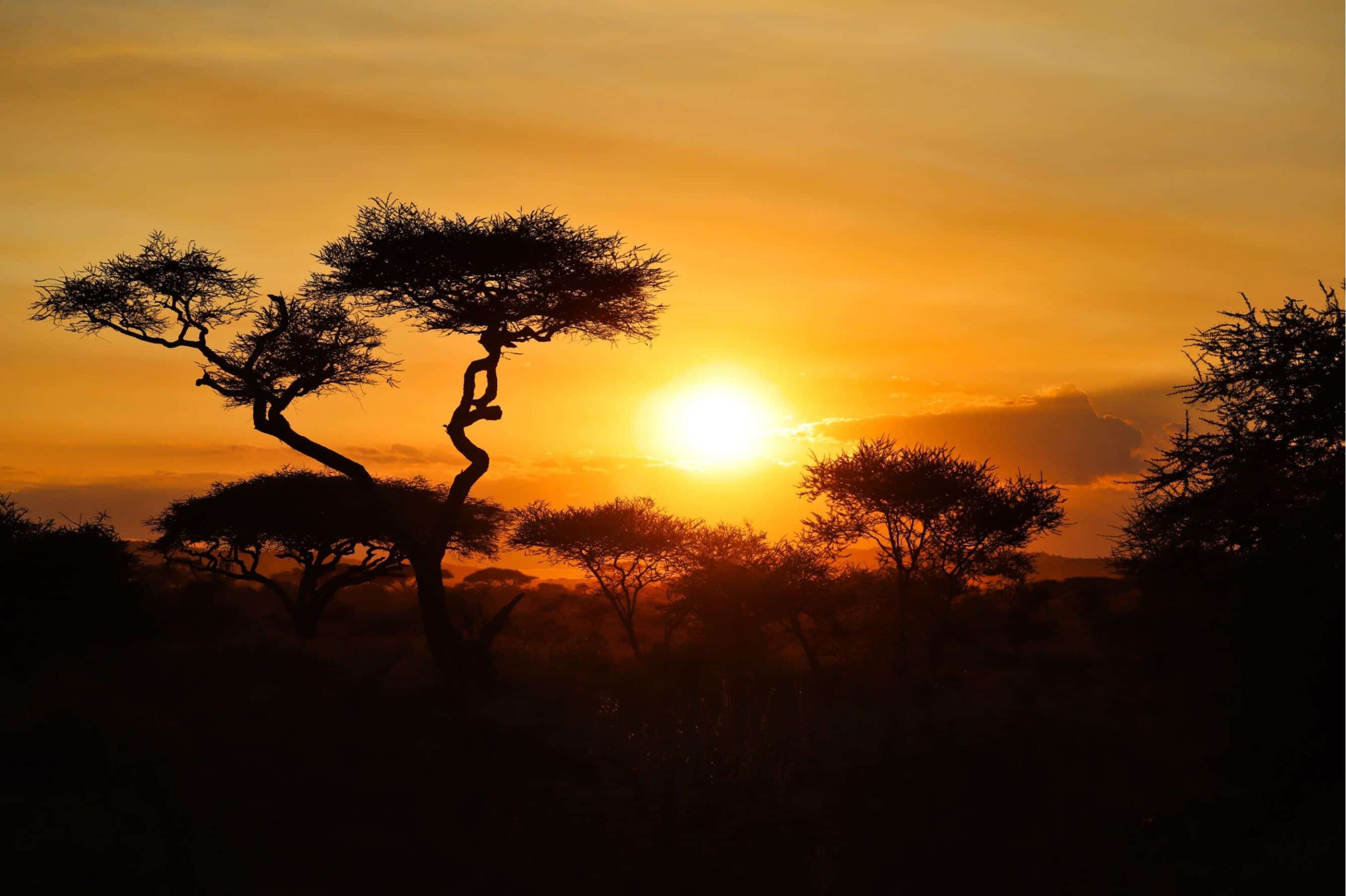 sunset in Serengeti - 5 days safari in Tanzania - safari itinerary and costs