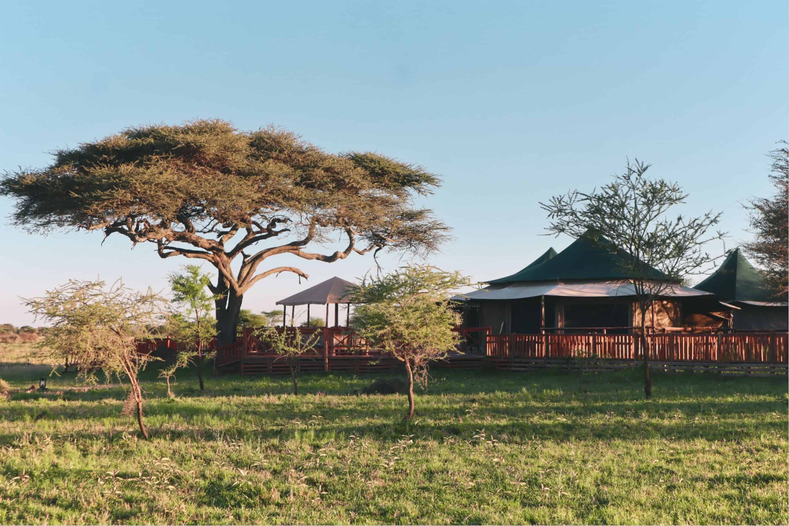 5 days safari in Tanzania - safari itinerary and costs