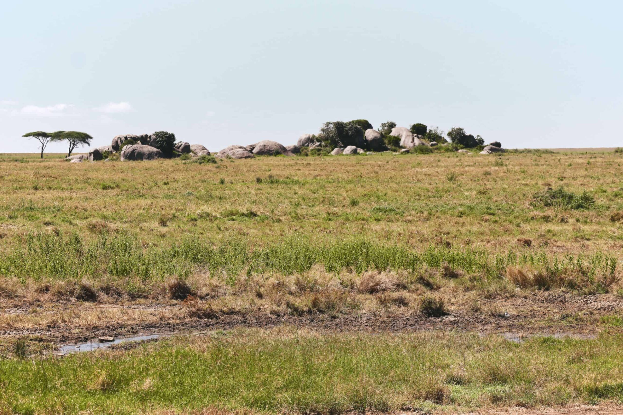 5 days safari in Tanzania - safari itinerary and costs