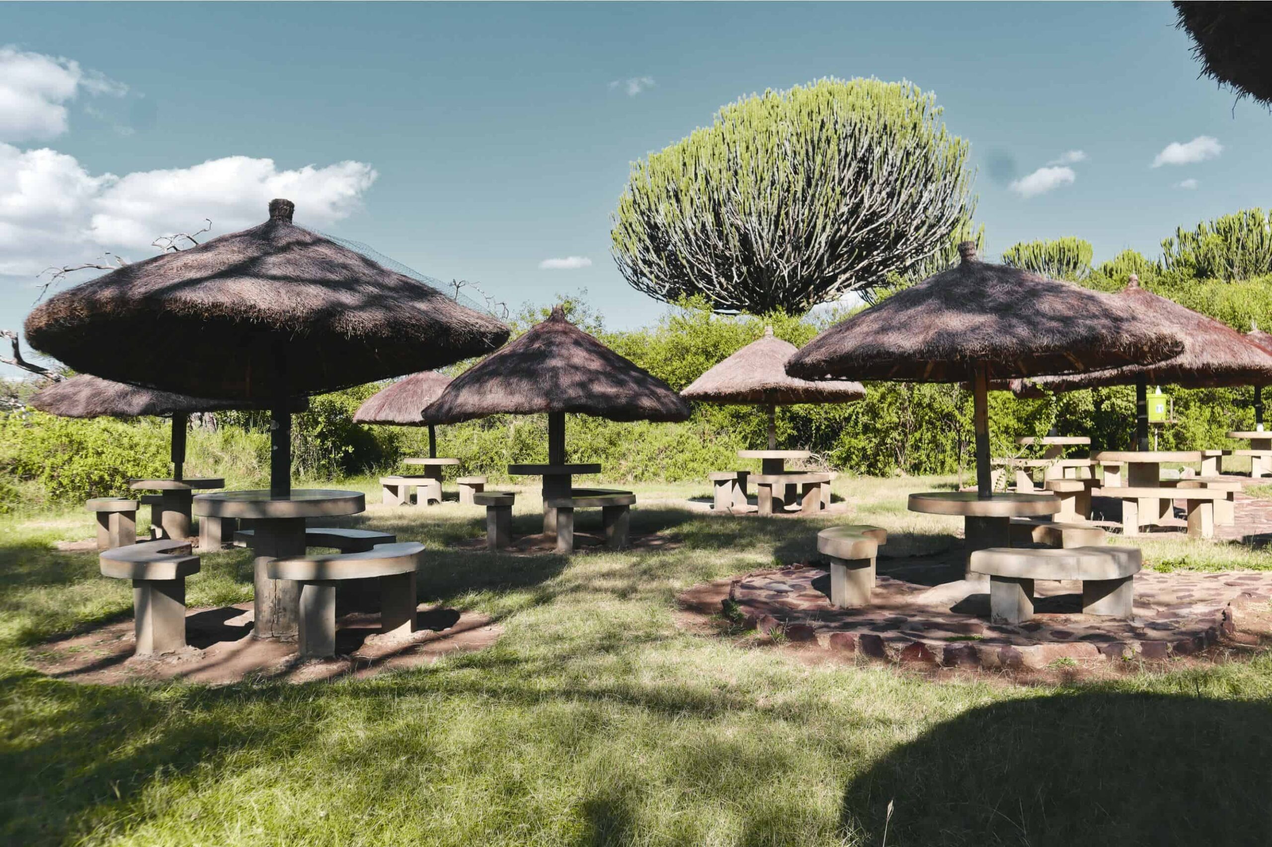 5 days safari in Tanzania - safari itinerary and costs