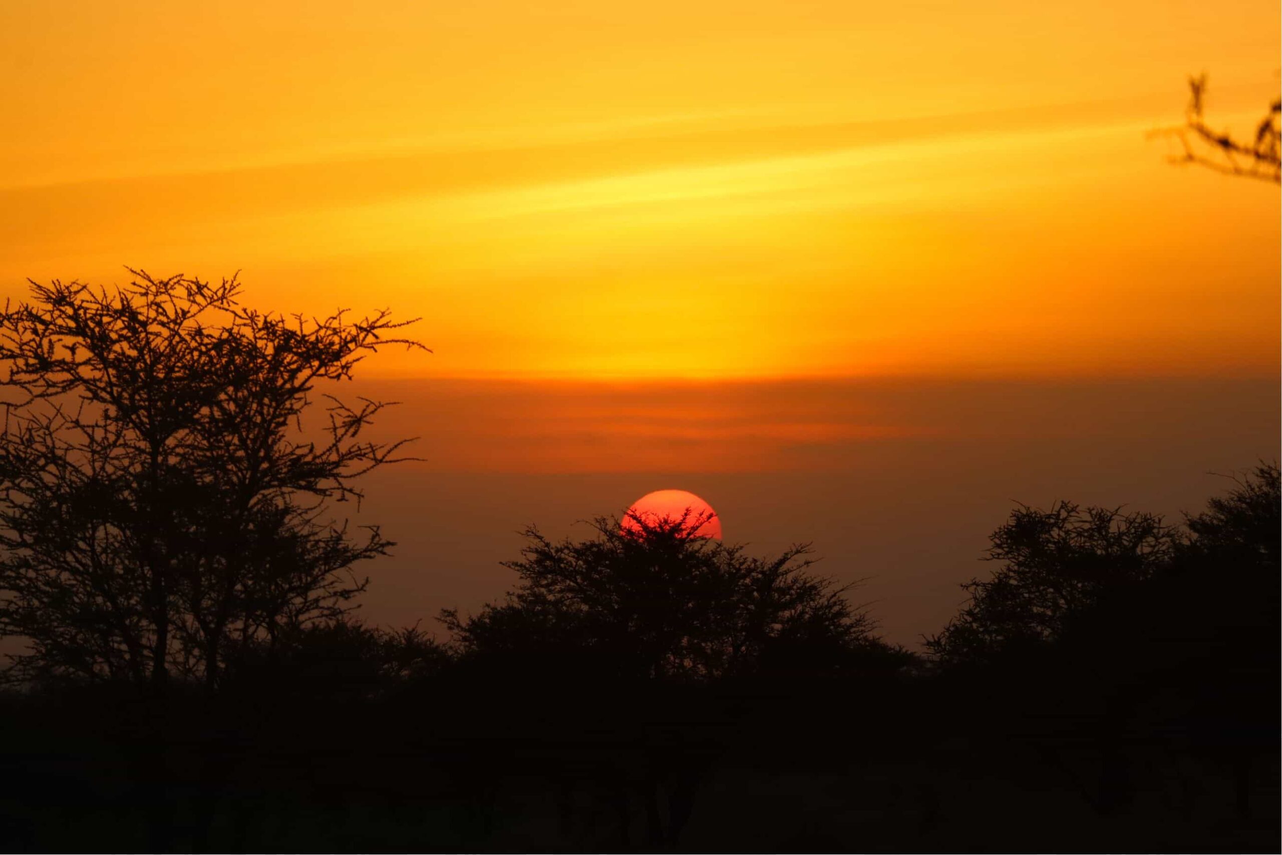 5 days safari in Tanzania - safari itinerary and costs