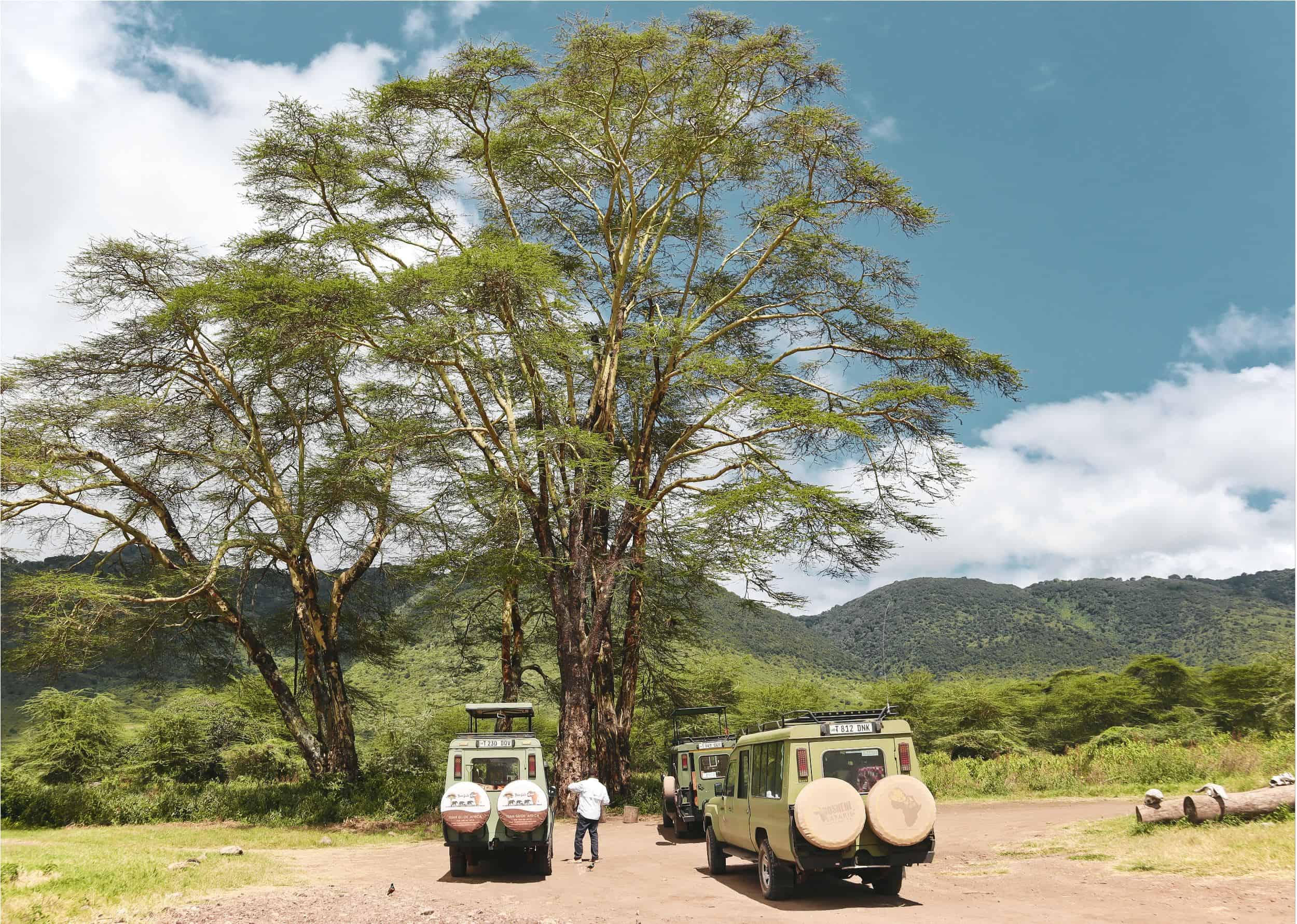 5 days safari in Tanzania - safari itinerary and costs 4 (2)