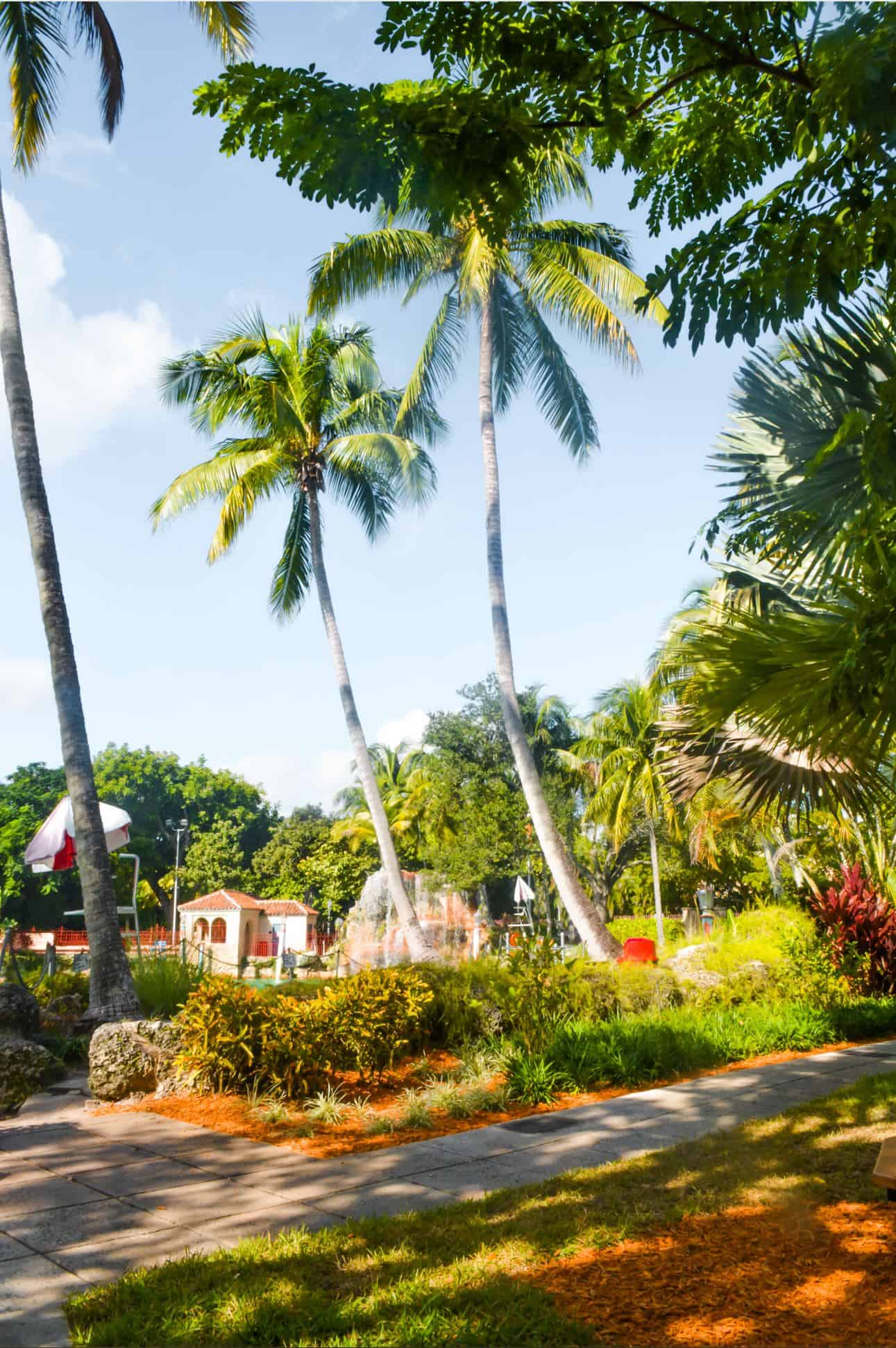 romantic activities in miami | best things to do in miami